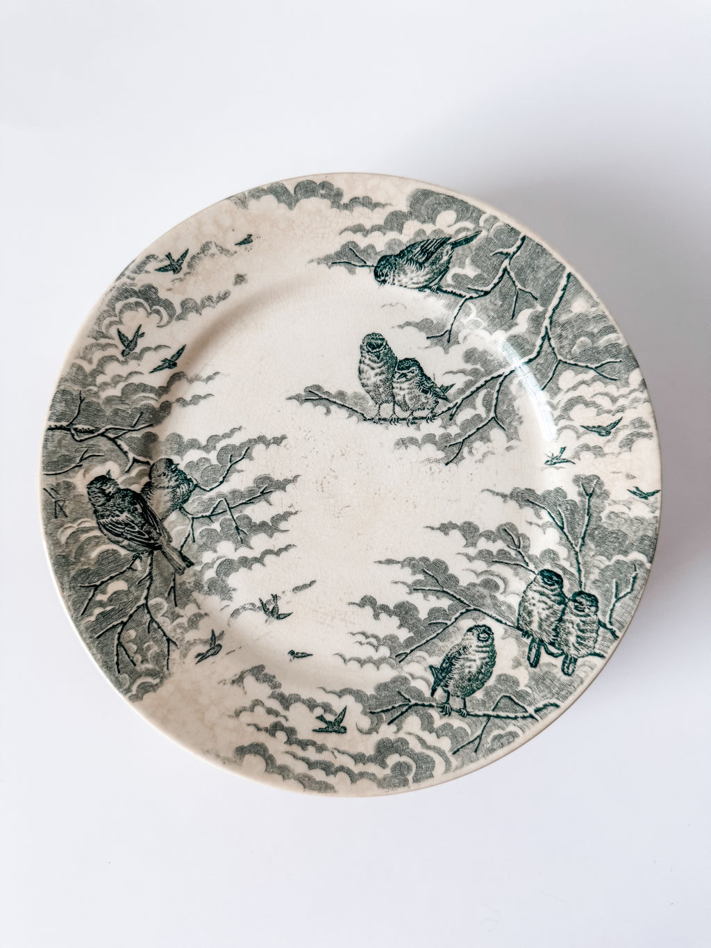 Antique Green Transferware French Bird Plates
