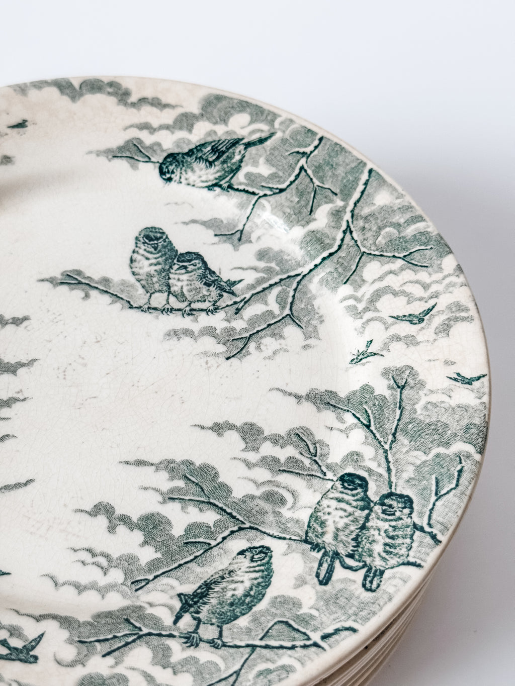 Antique Green Transferware French Bird Plates