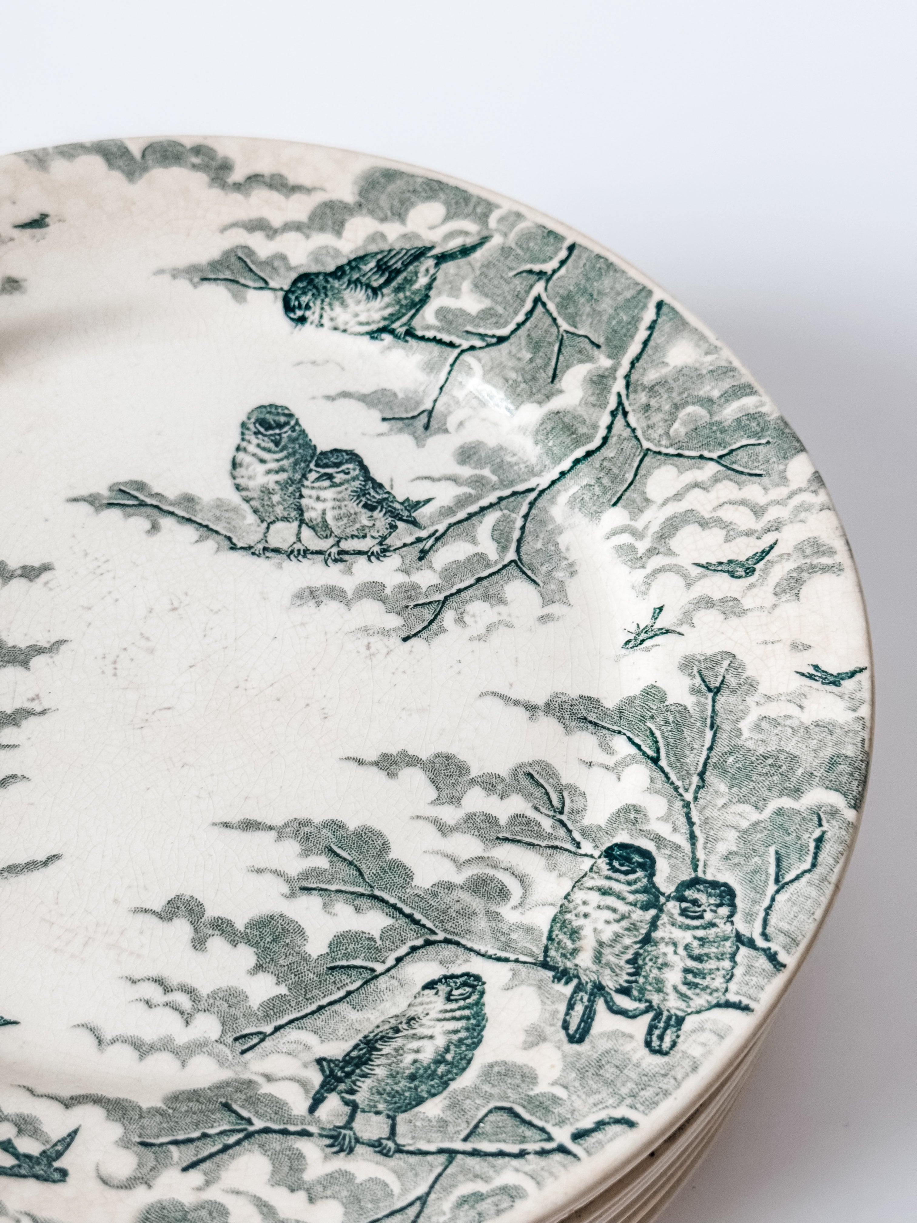 Antique Green Transferware French Bird Plates