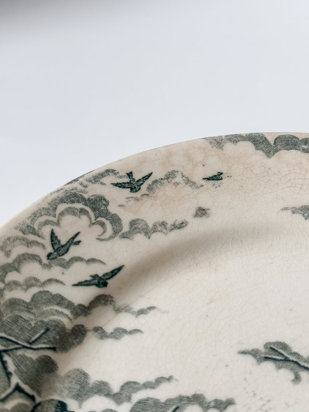 Antique Green Transferware French Bird Plates