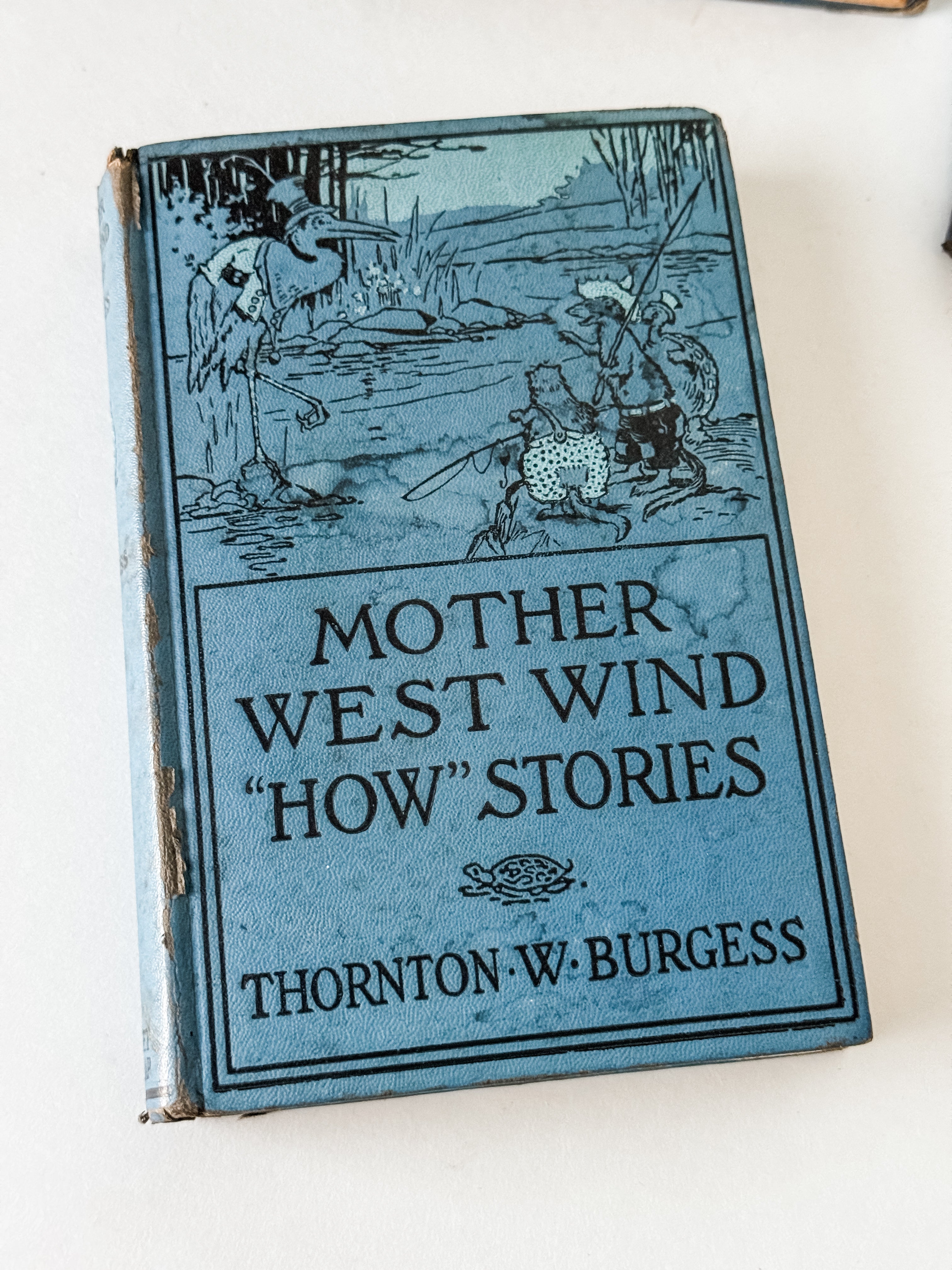 Beautiful Antique Blue Children's Book With Graphics
