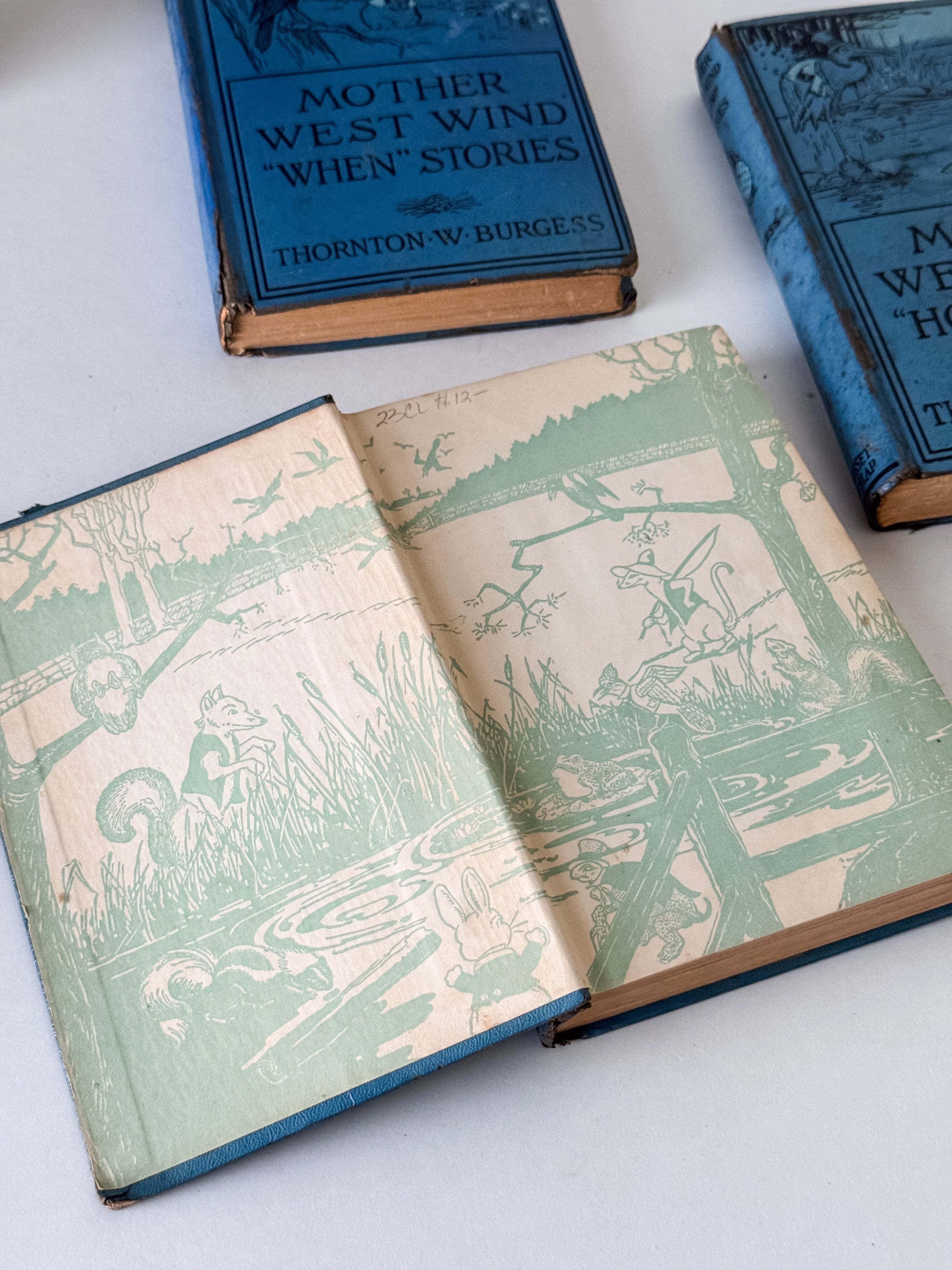 Beautiful Antique Blue Children's Book With Graphics