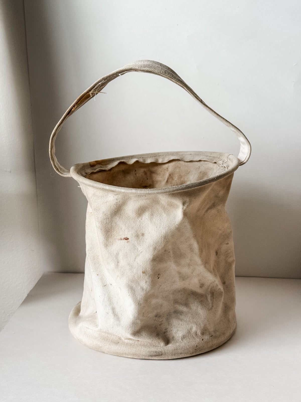 Amazing Vintage Canvas Tote With Dried Rose Bundle