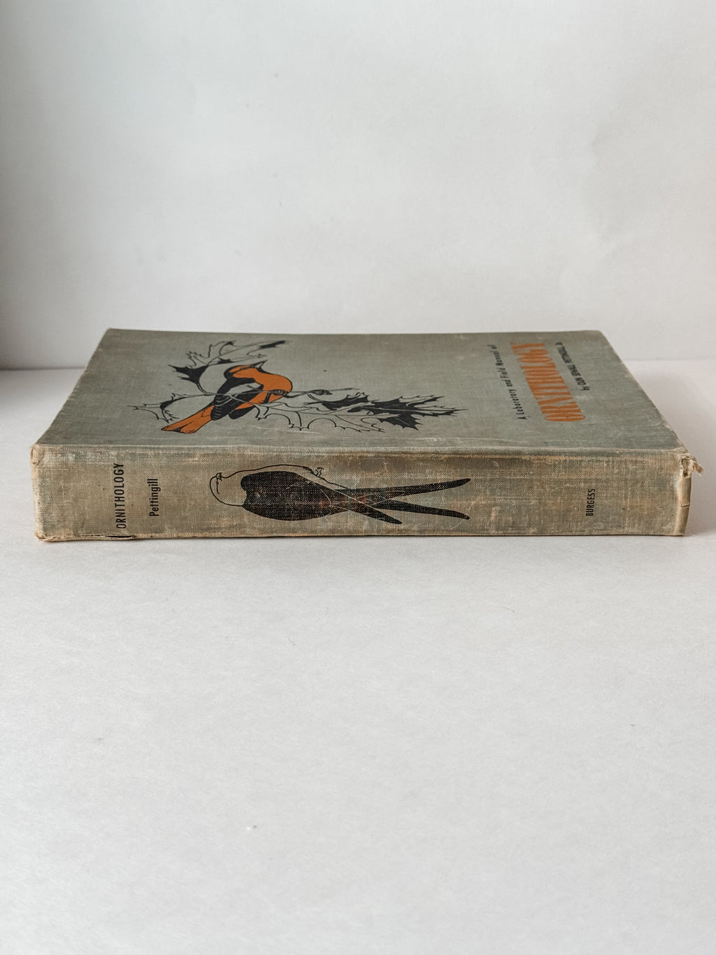 Fabulous 1950s Field Manual Large Hardcover Book