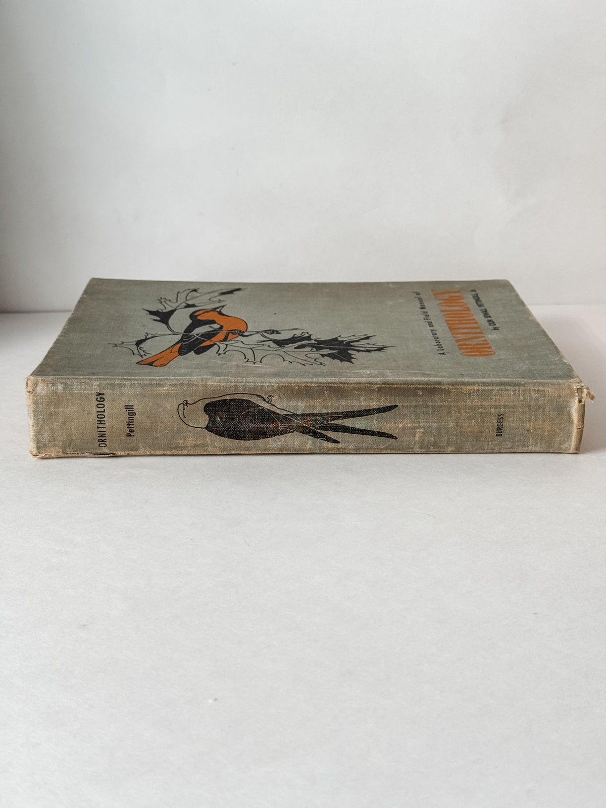 Fabulous 1950s Field Manual Large Hardcover Book