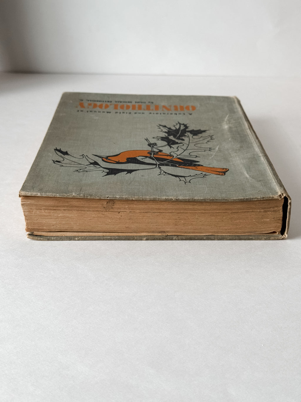 Fabulous 1950s Field Manual Large Hardcover Book