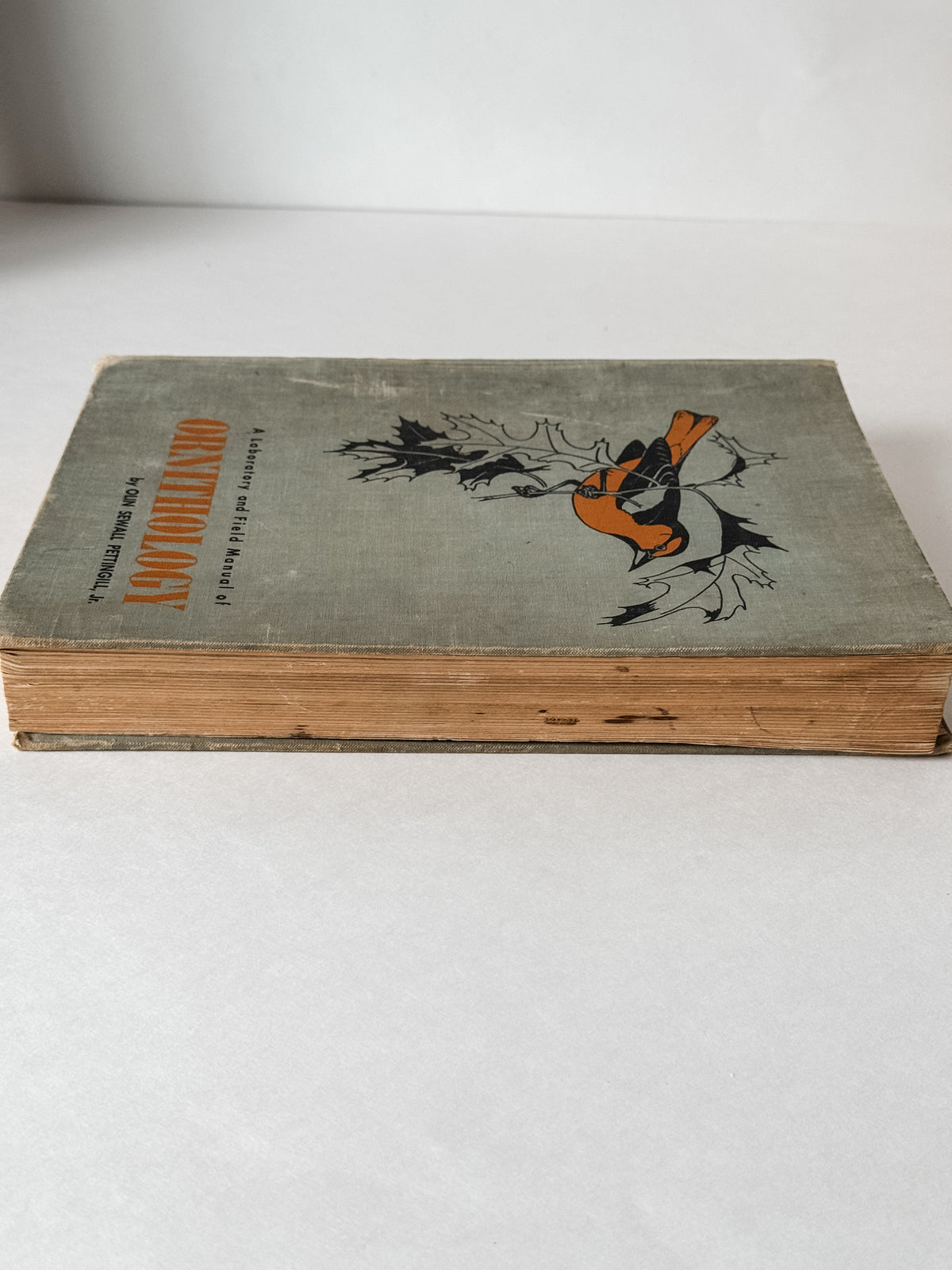 Fabulous 1950s Field Manual Large Hardcover Book
