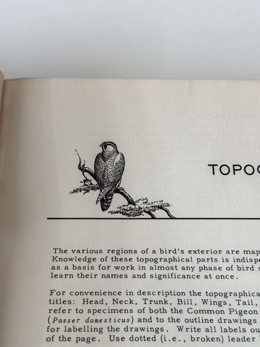 Fabulous 1950s Field Manual Large Hardcover Book