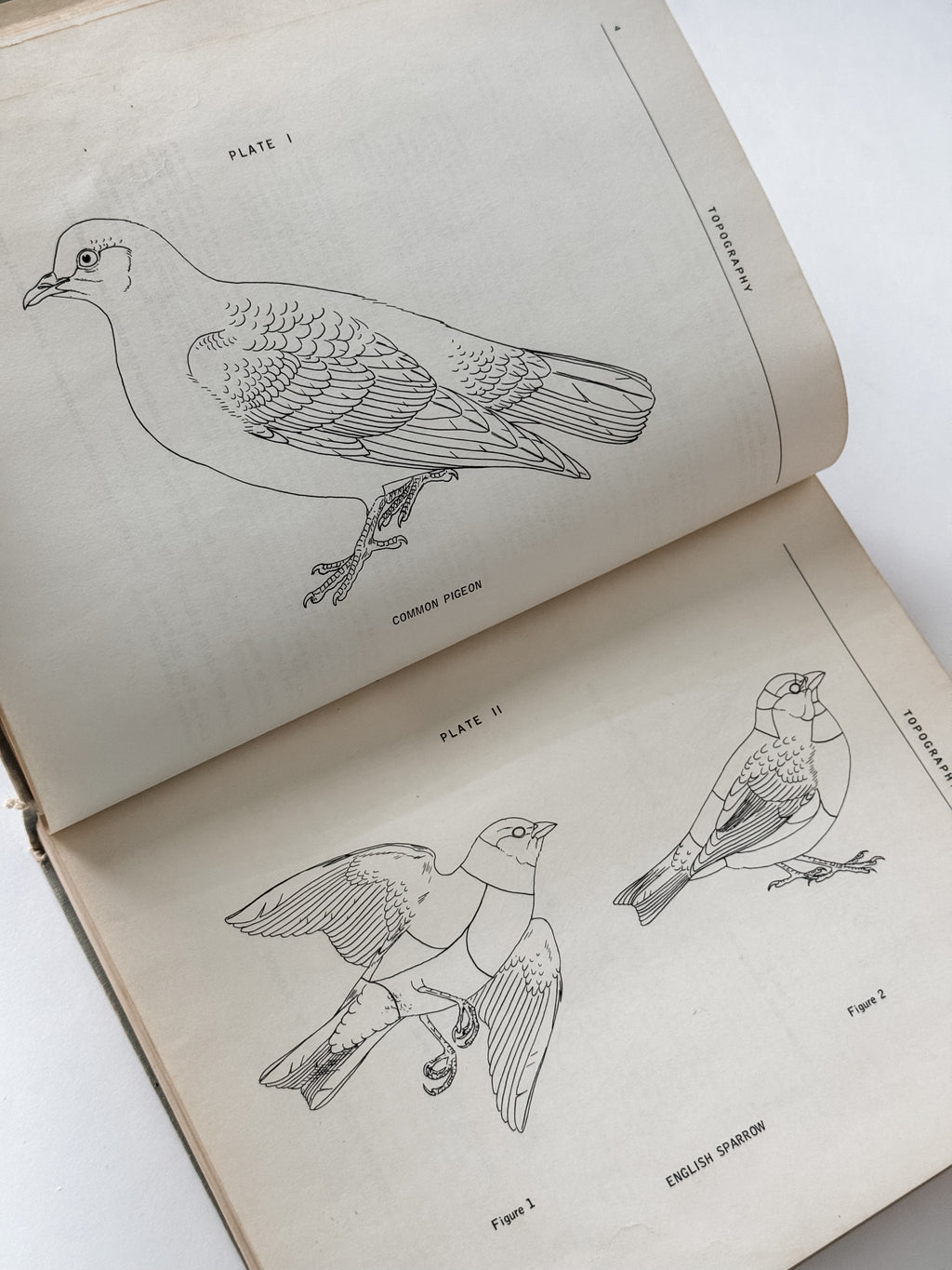 Fabulous 1950s Field Manual Large Hardcover Book