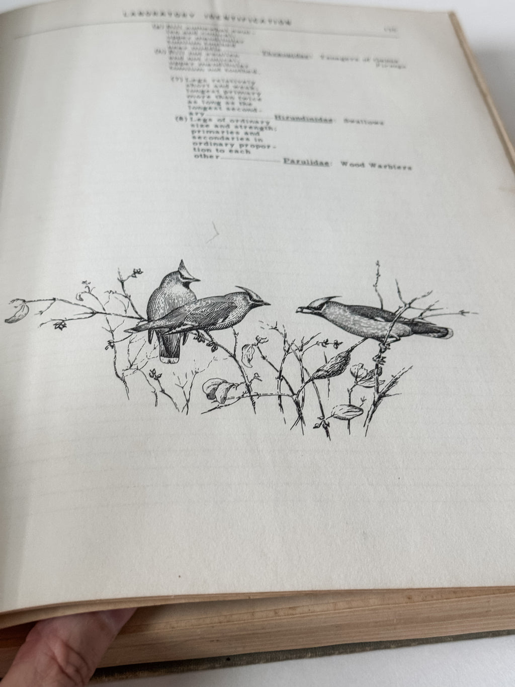 Fabulous 1950s Field Manual Large Hardcover Book