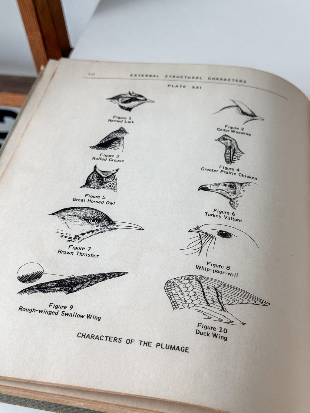 Fabulous 1950s Field Manual Large Hardcover Book