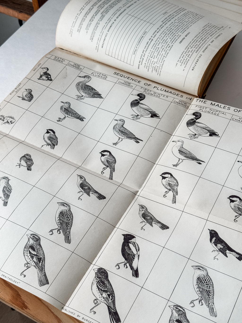 Fabulous 1950s Field Manual Large Hardcover Book