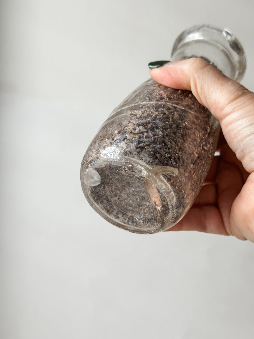 Pair Of Old Dairy Milk Bottles Filled With Loose Lavender