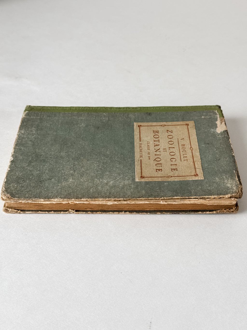 1931 Hardcover Parisian Zoology And Botany Book