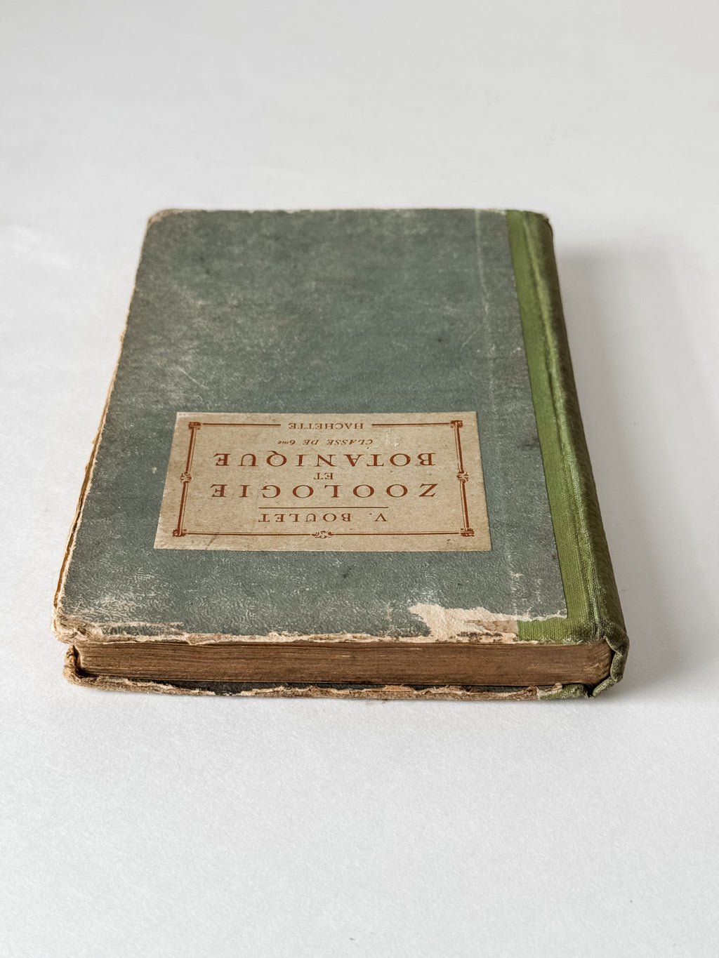 1931 Hardcover Parisian Zoology And Botany Book