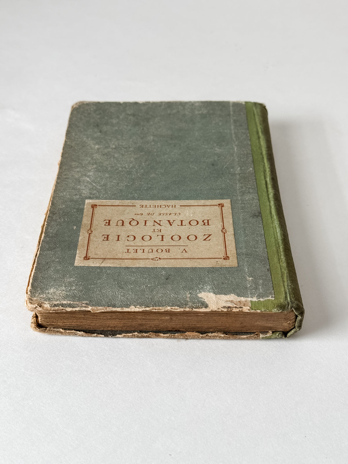 1931 Hardcover Parisian Zoology And Botany Book