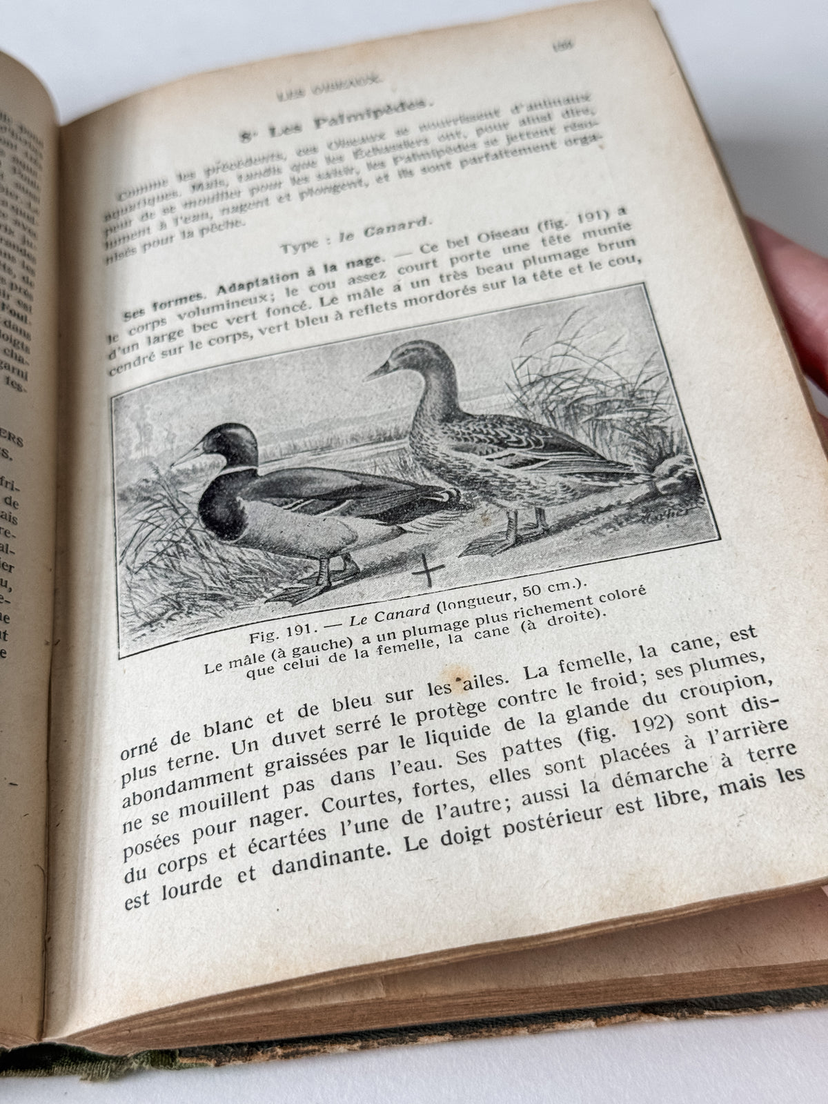 1931 Hardcover Parisian Zoology And Botany Book
