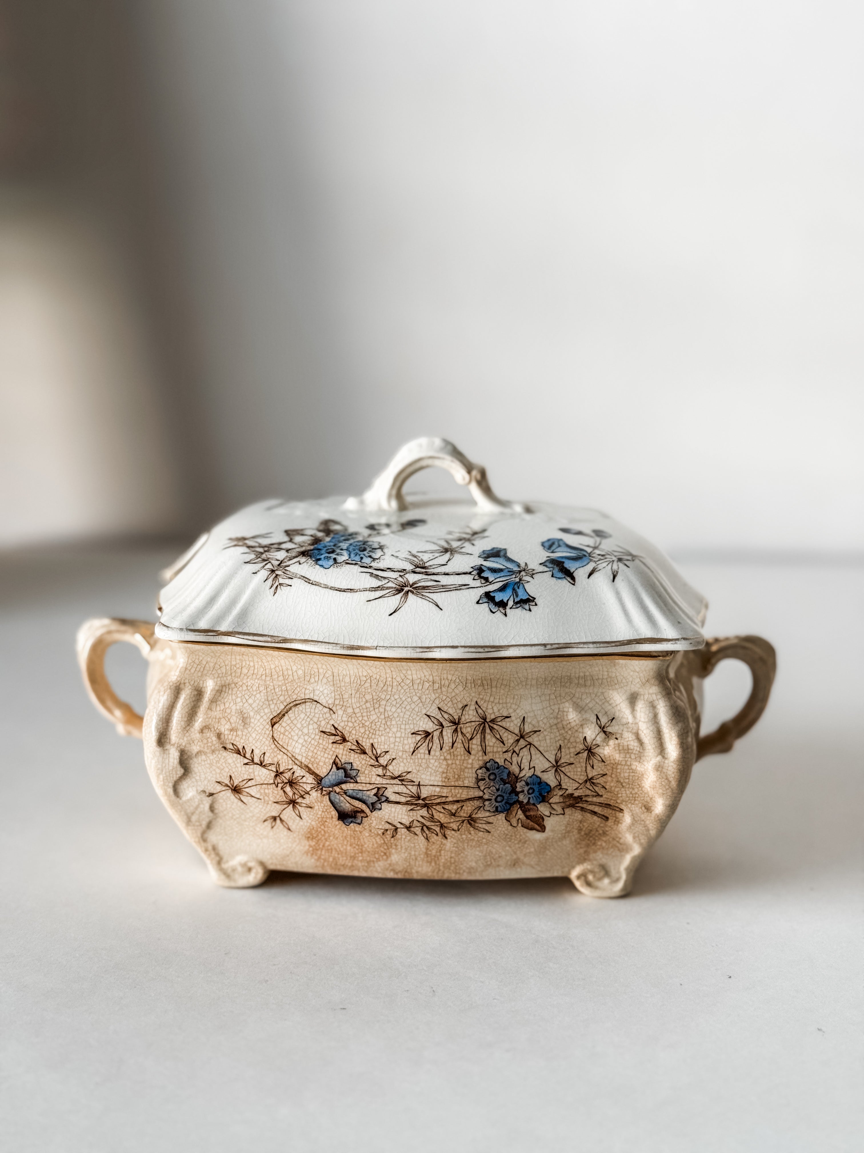 English Ironstone Antique Stained Floral Candy Dish