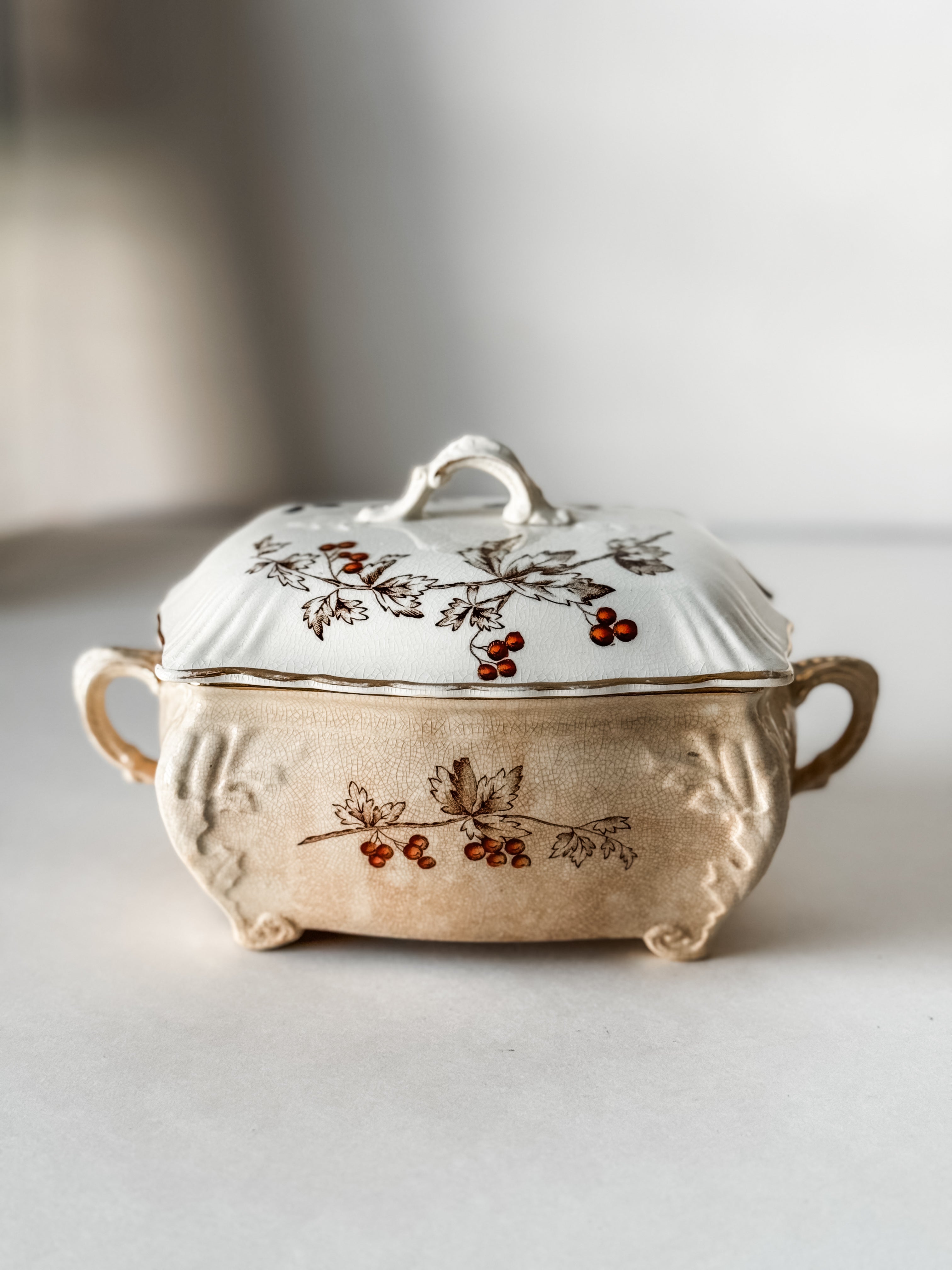 English Ironstone Antique Stained Floral Candy Dish