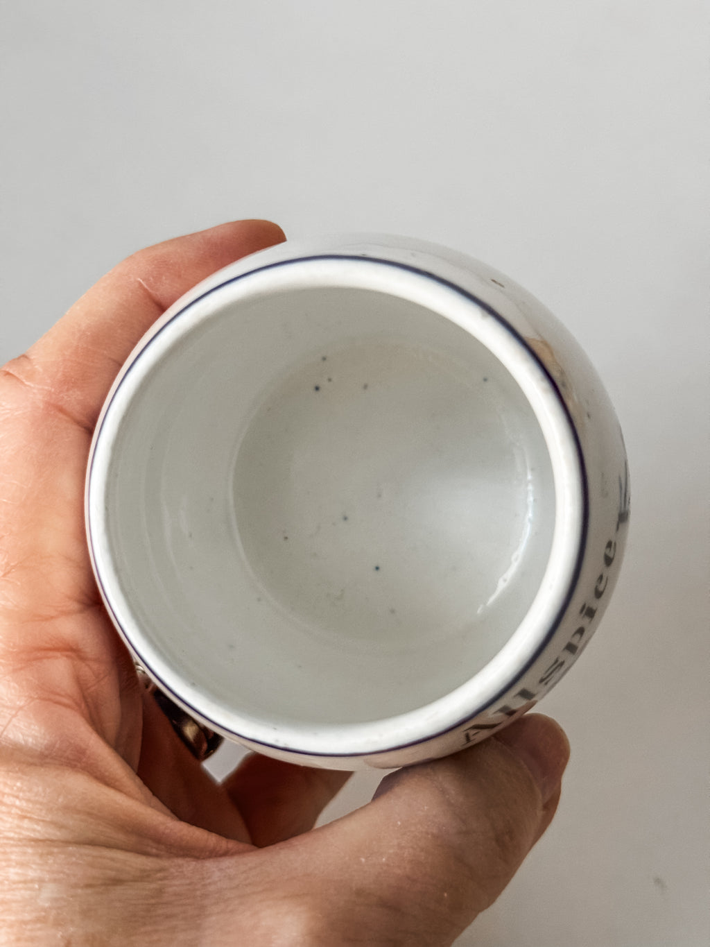 Vintage German Blue And White Allspice Jar