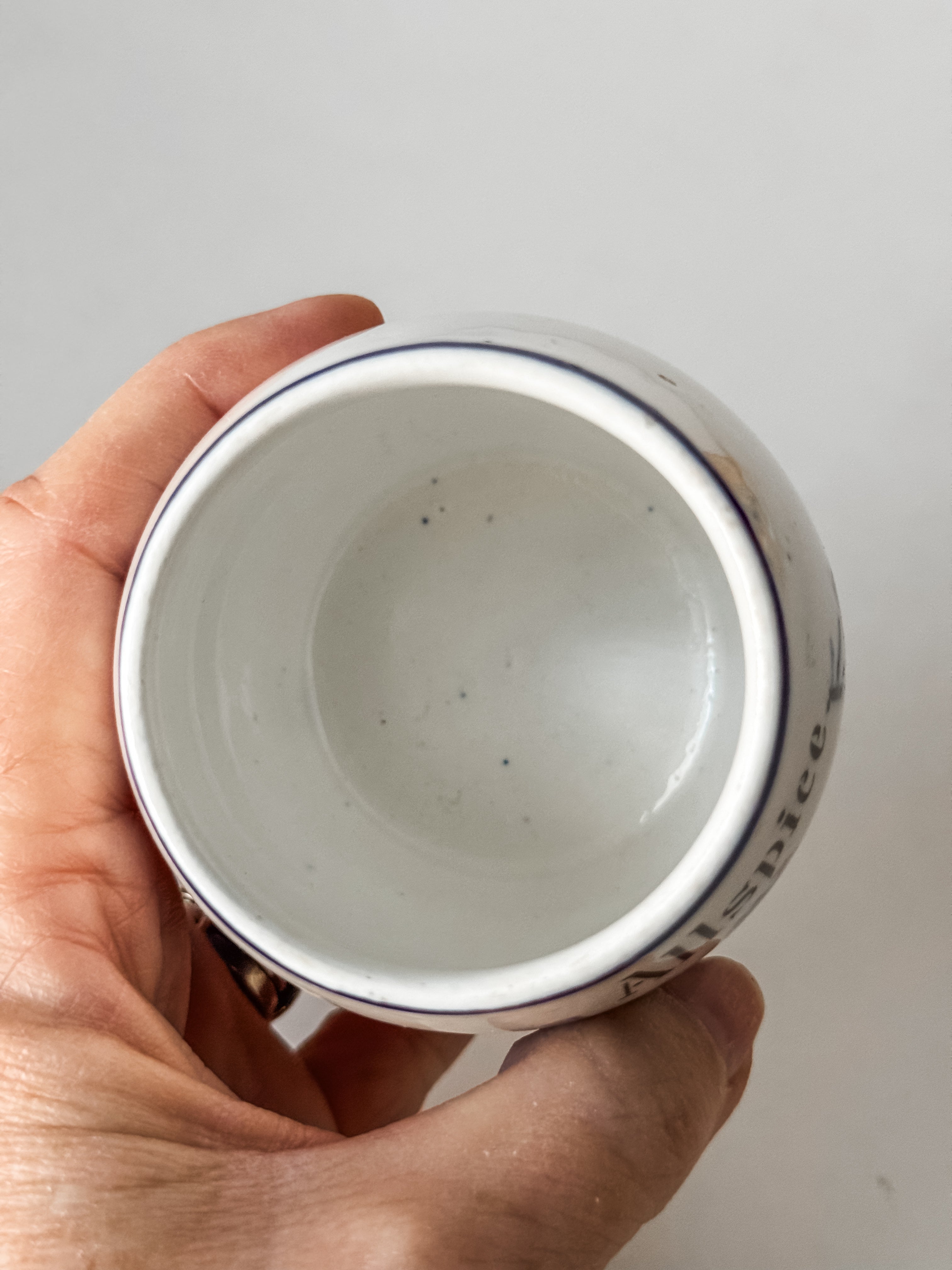 Vintage German Blue And White Allspice Jar