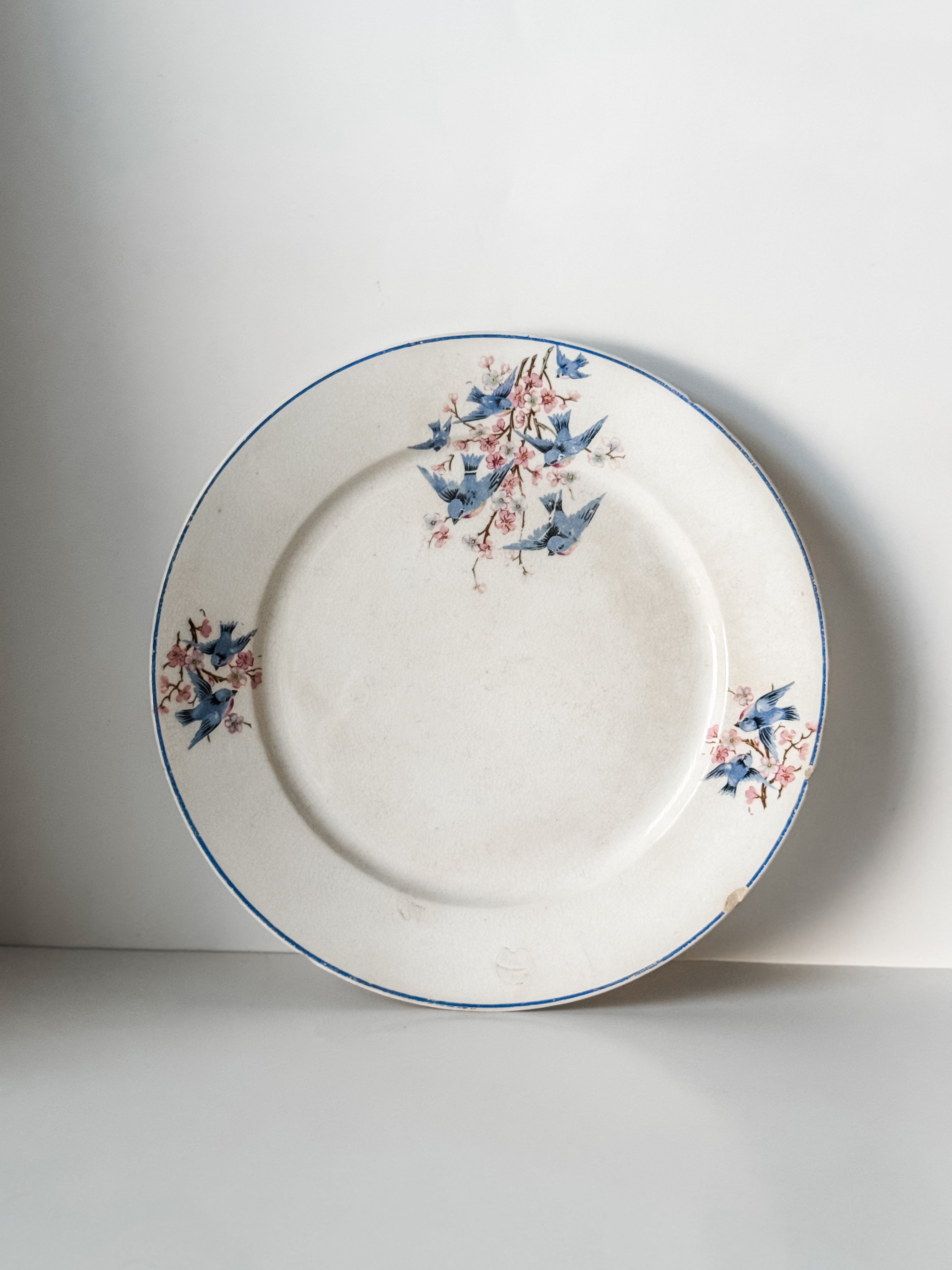 Antique Ironstone Bluebird Plate