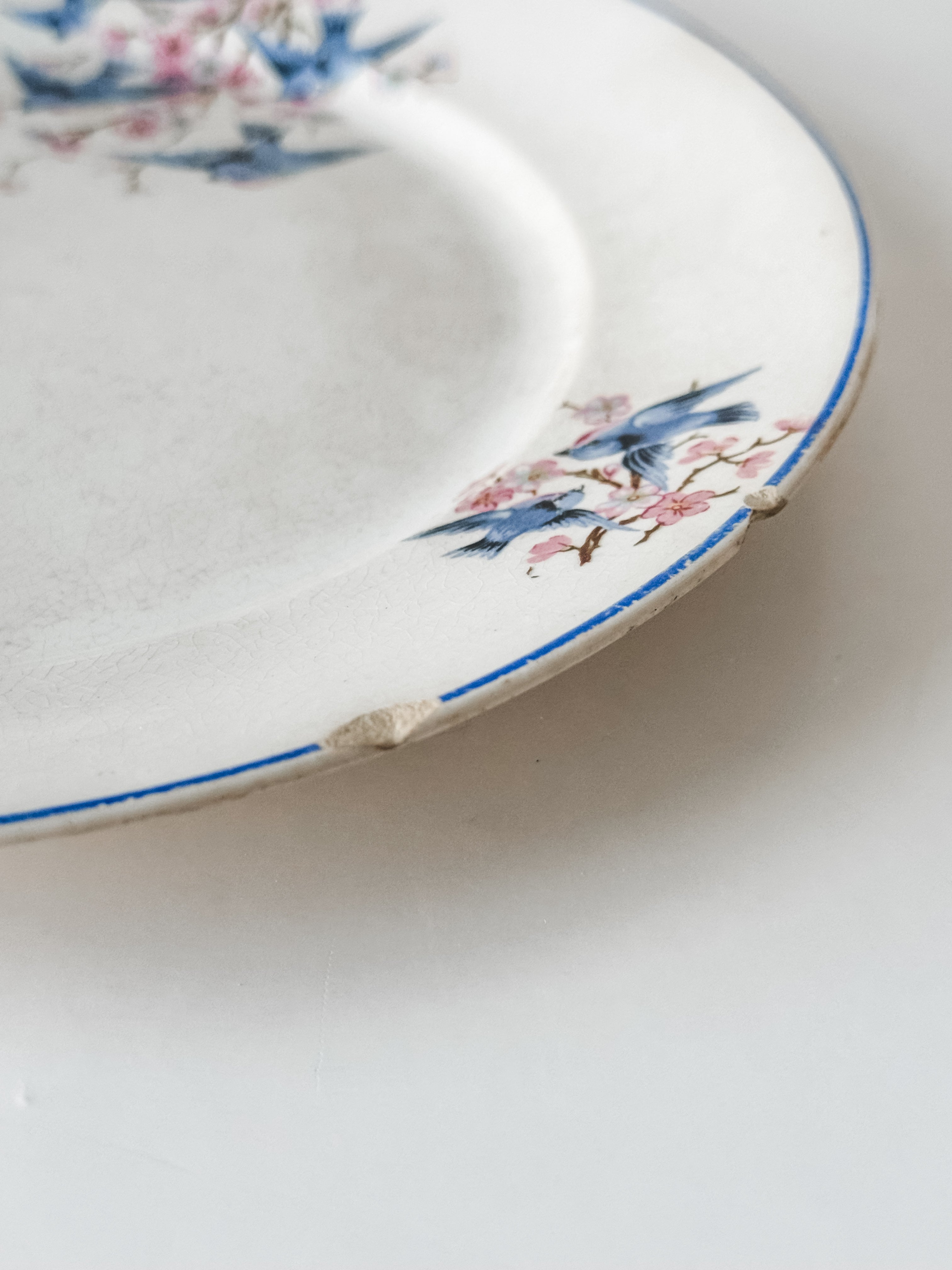 Antique Ironstone Bluebird Plate