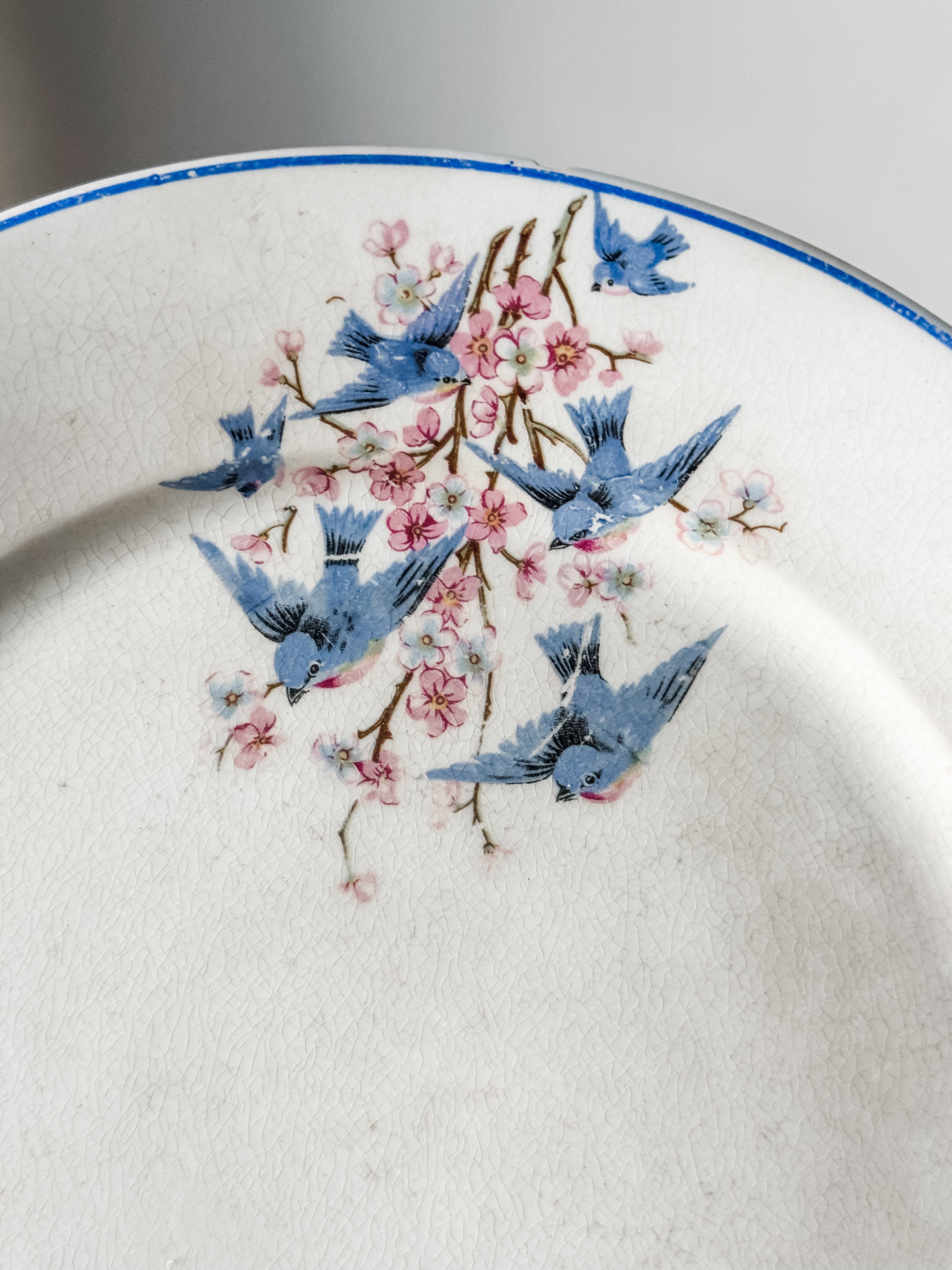 Antique Ironstone Bluebird Plate