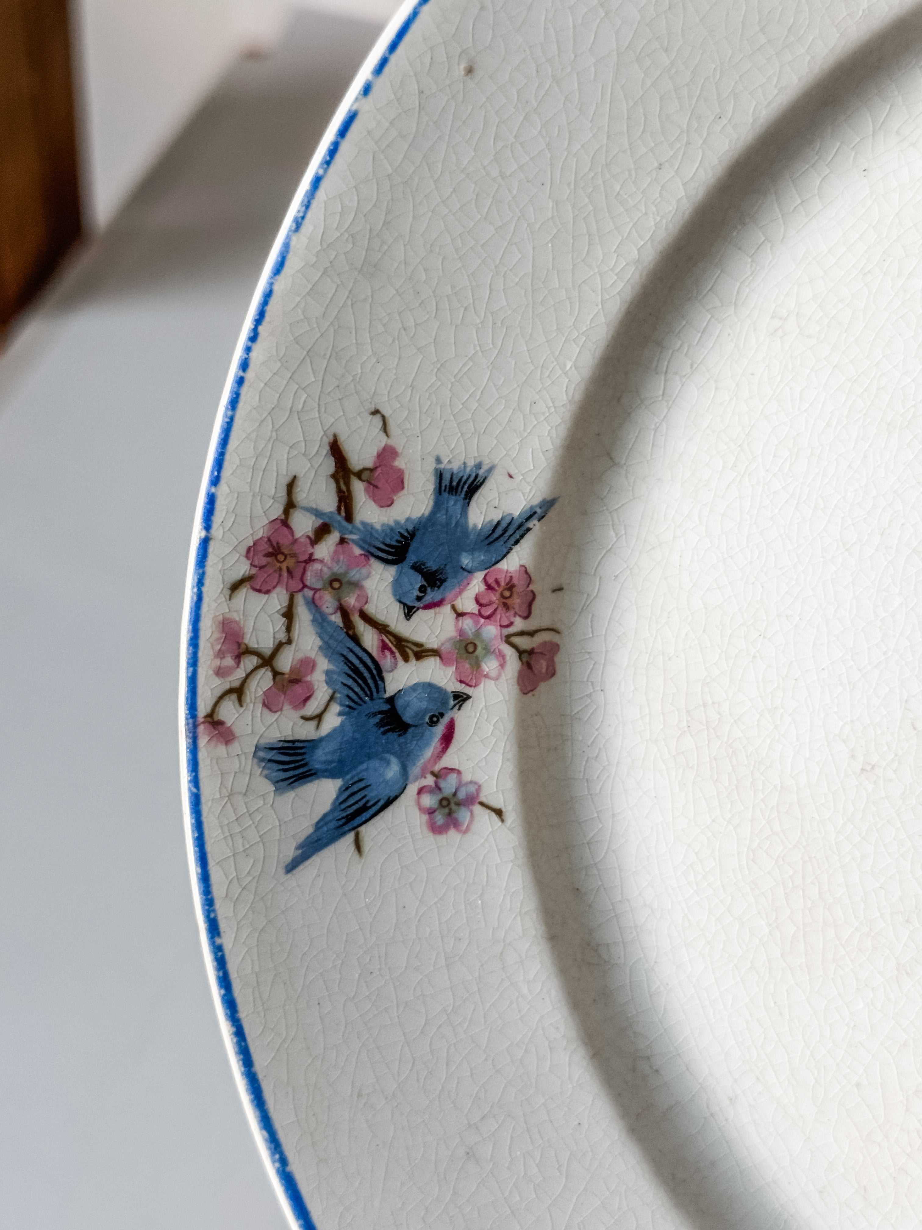 Antique Ironstone Bluebird Plate