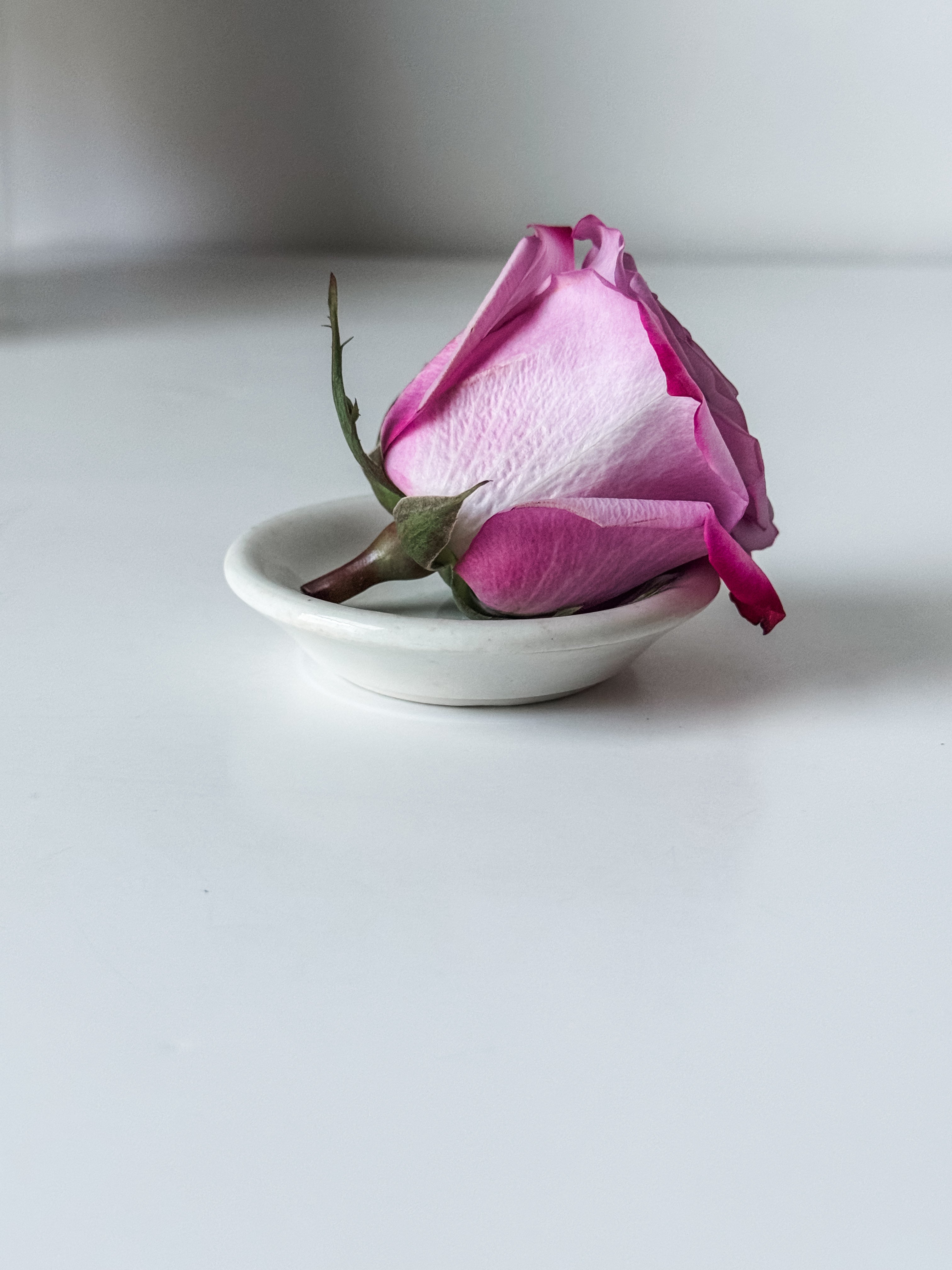 Vintage Chunky White Ironstone Butterpat