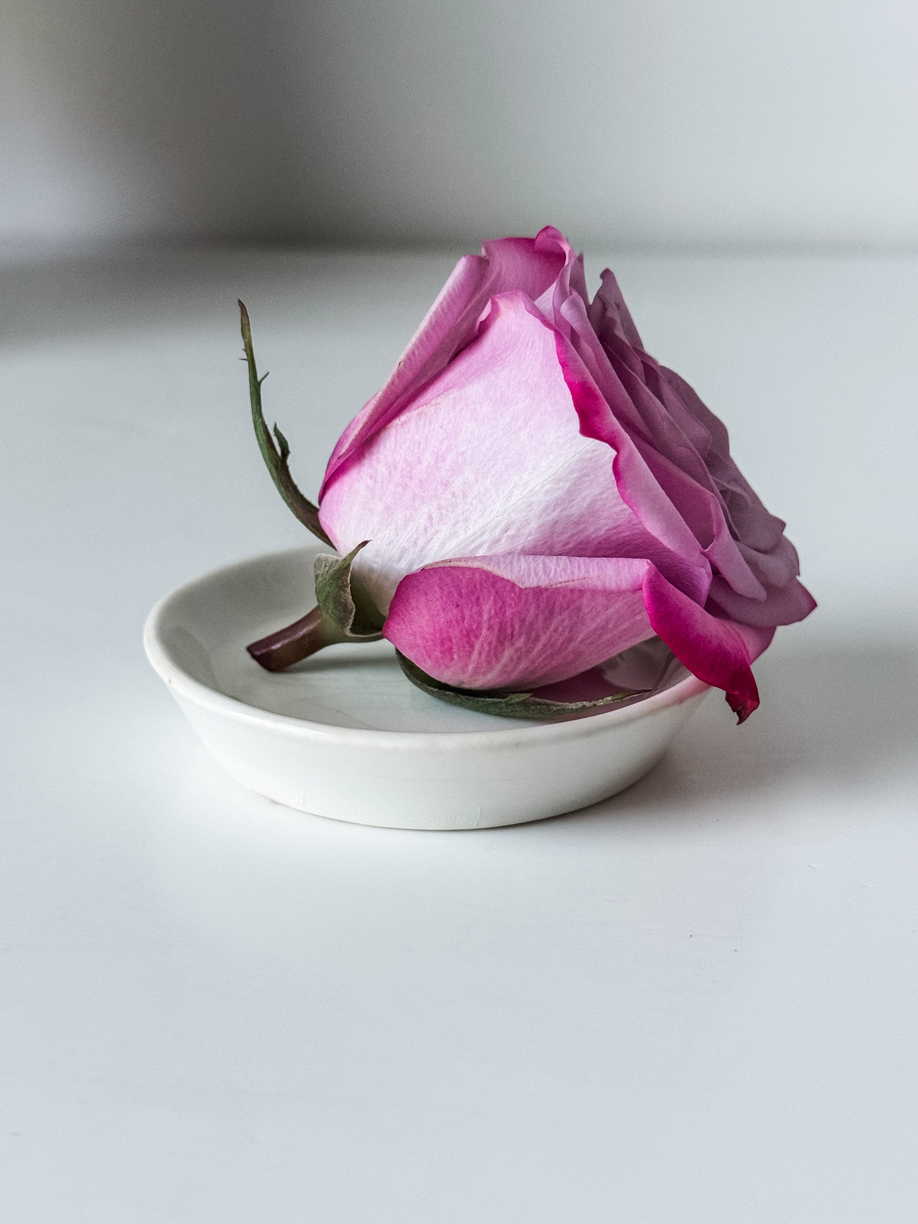 Vintage English Ironstone Maddock And Sons Butterpat