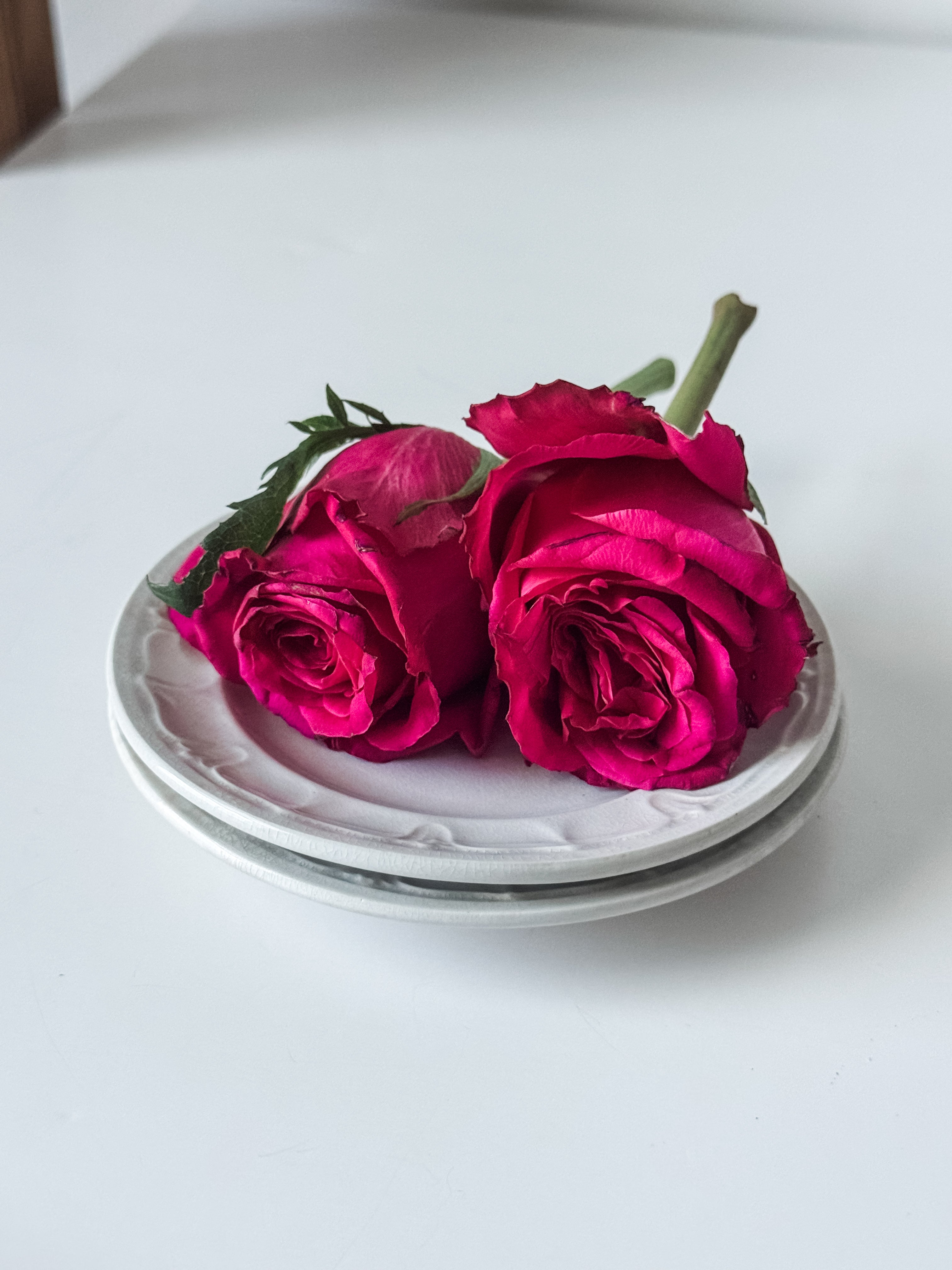 Set Of Two Antique English Ironstone Child's Plates