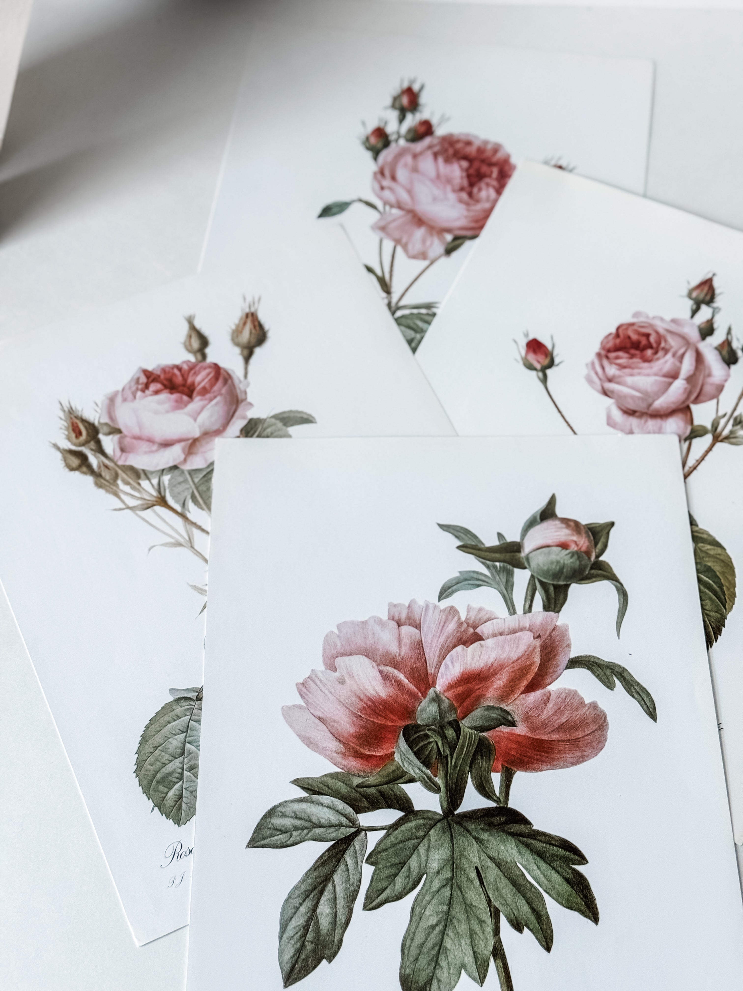Vintage French Cardstock Rose And Floral Prints