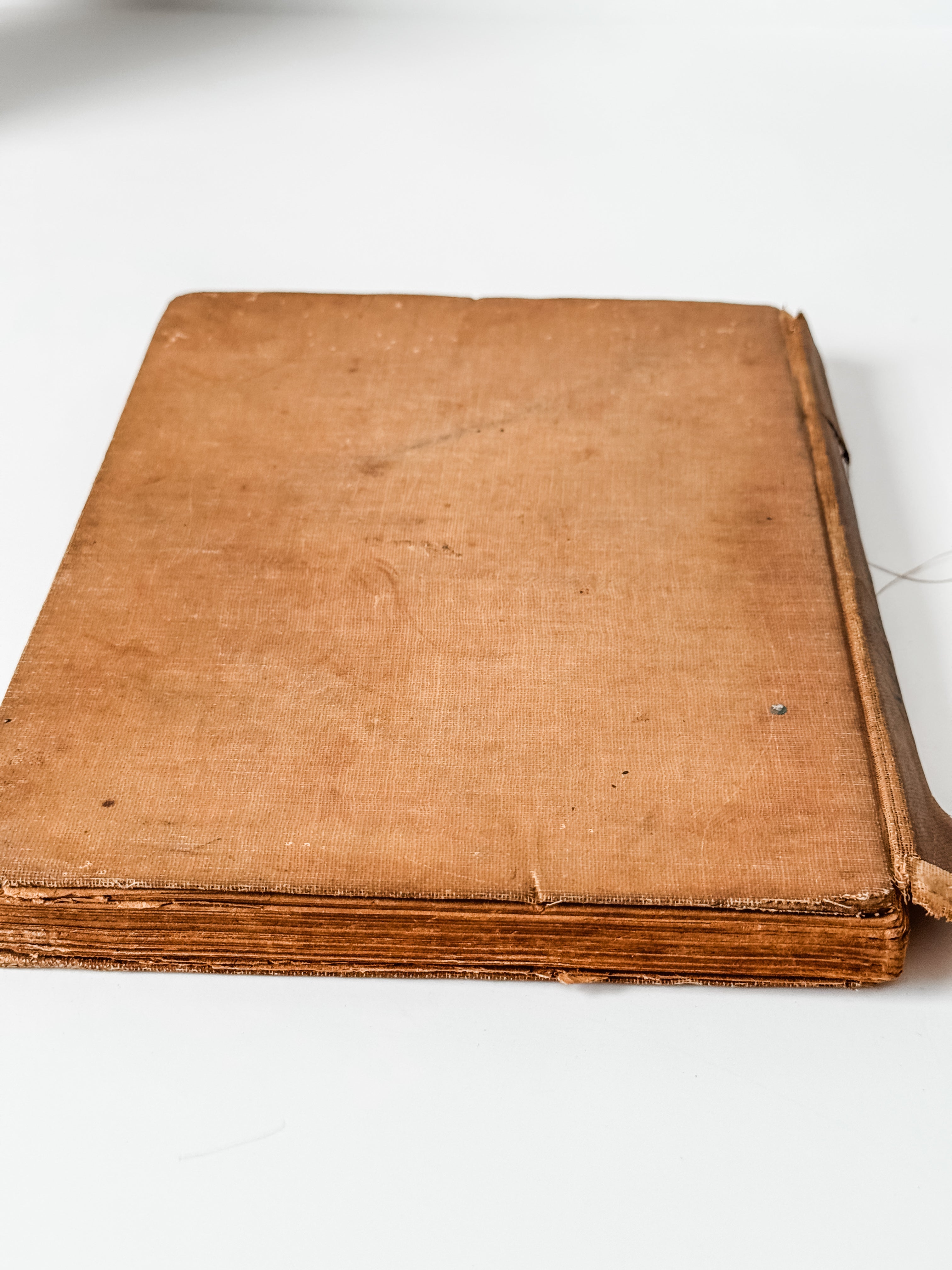Amazing Tattered Antique Anna Sewell Black Beauty Hardcover Book