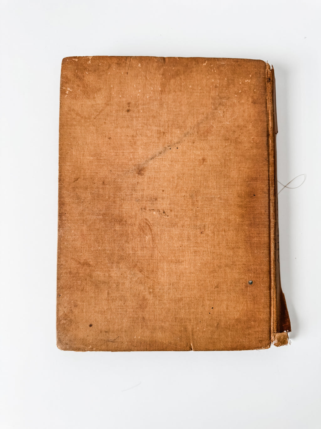Amazing Tattered Antique Anna Sewell Black Beauty Hardcover Book