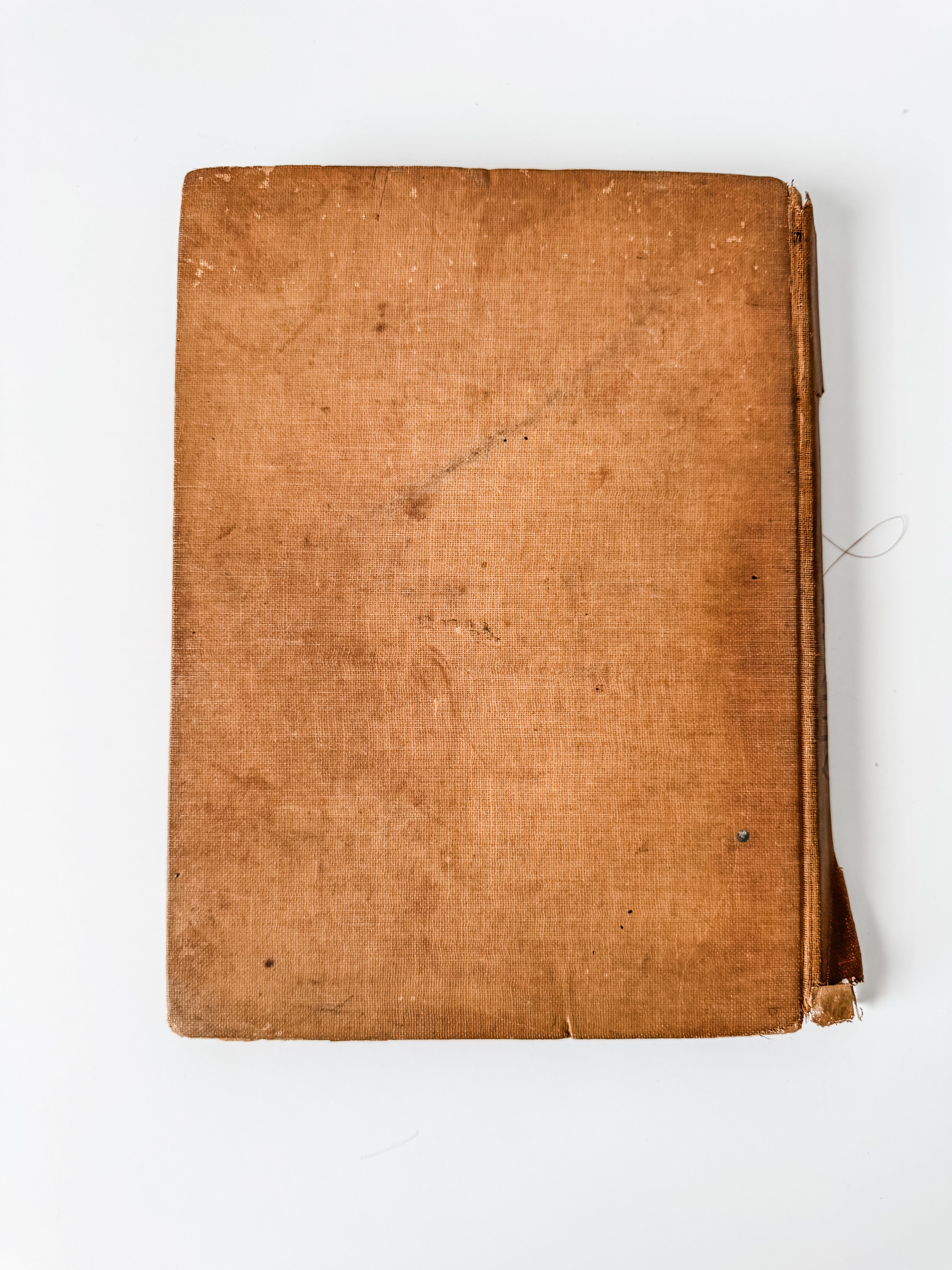 Amazing Tattered Antique Anna Sewell Black Beauty Hardcover Book