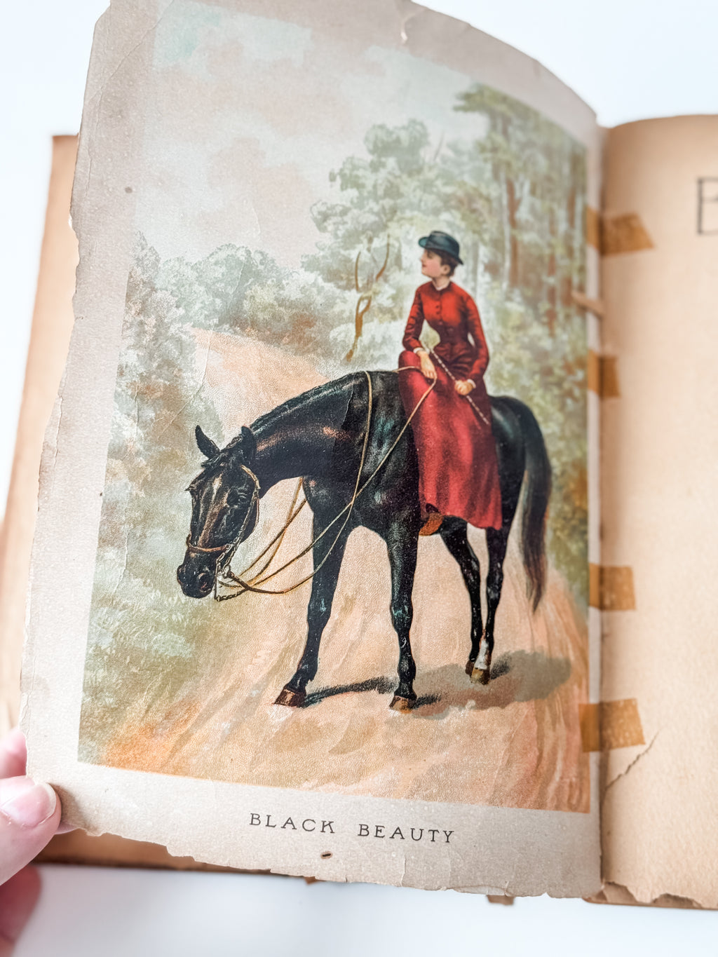 Amazing Tattered Antique Anna Sewell Black Beauty Hardcover Book