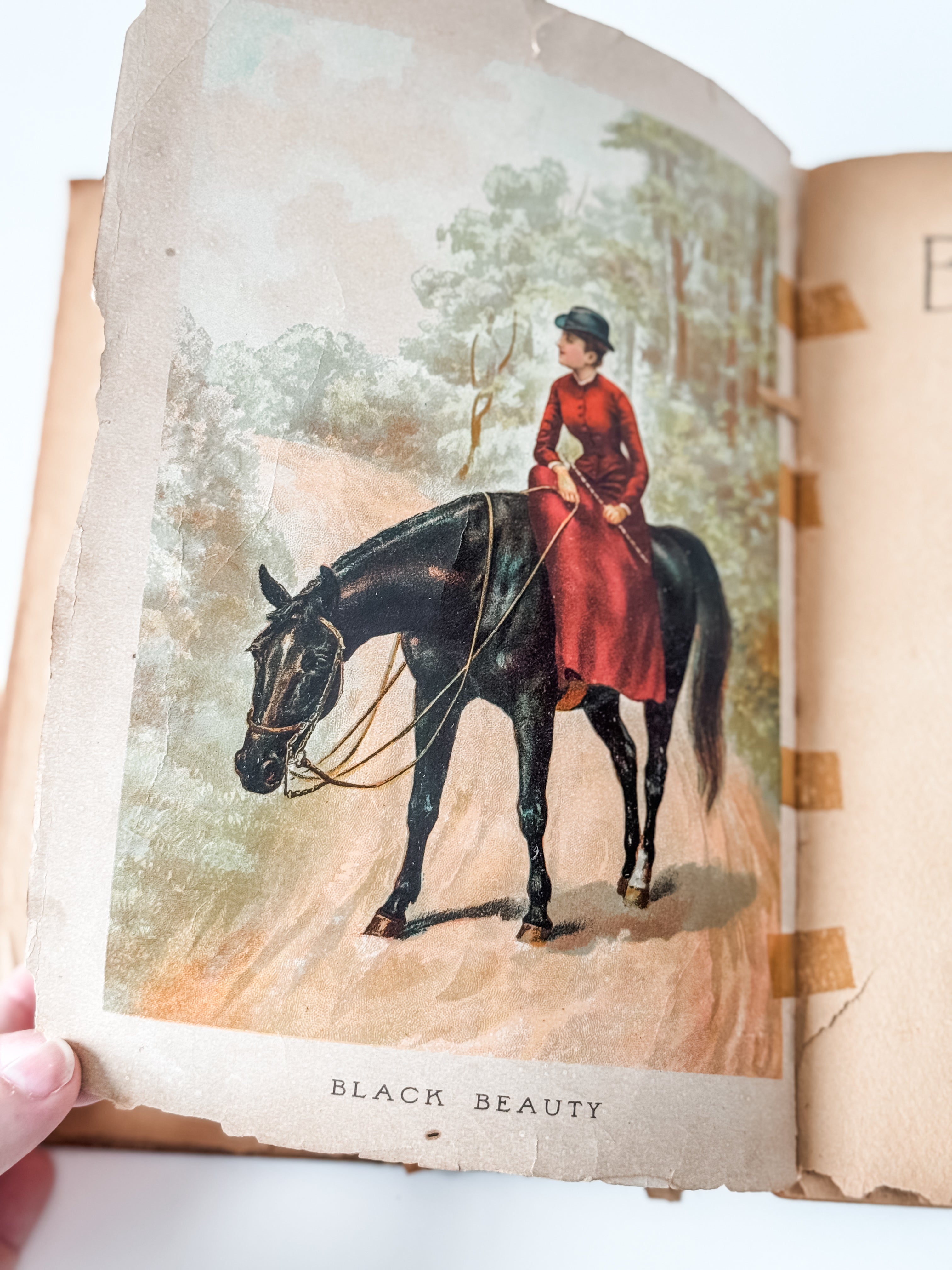 Amazing Tattered Antique Anna Sewell Black Beauty Hardcover Book
