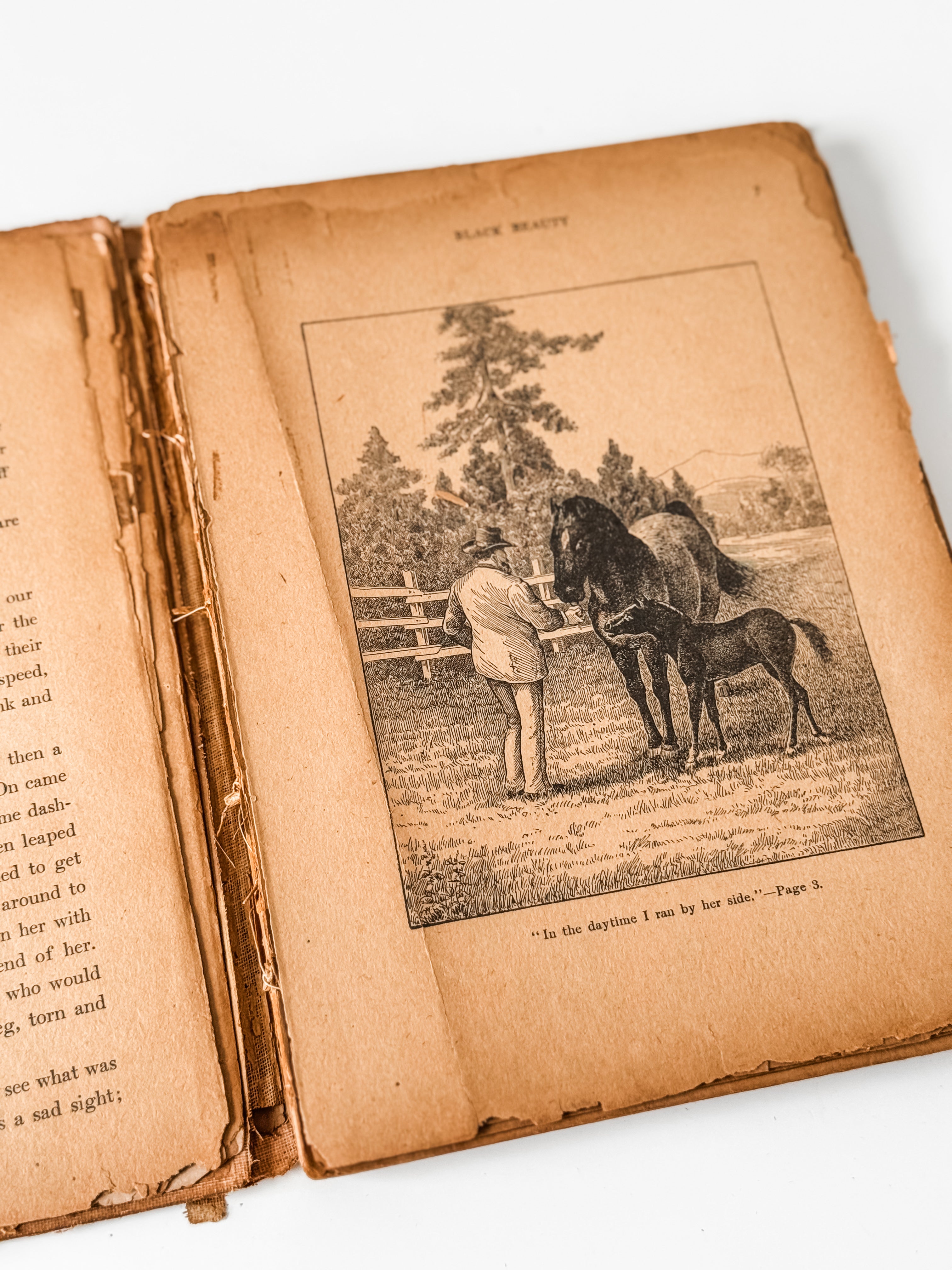 Amazing Tattered Antique Anna Sewell Black Beauty Hardcover Book