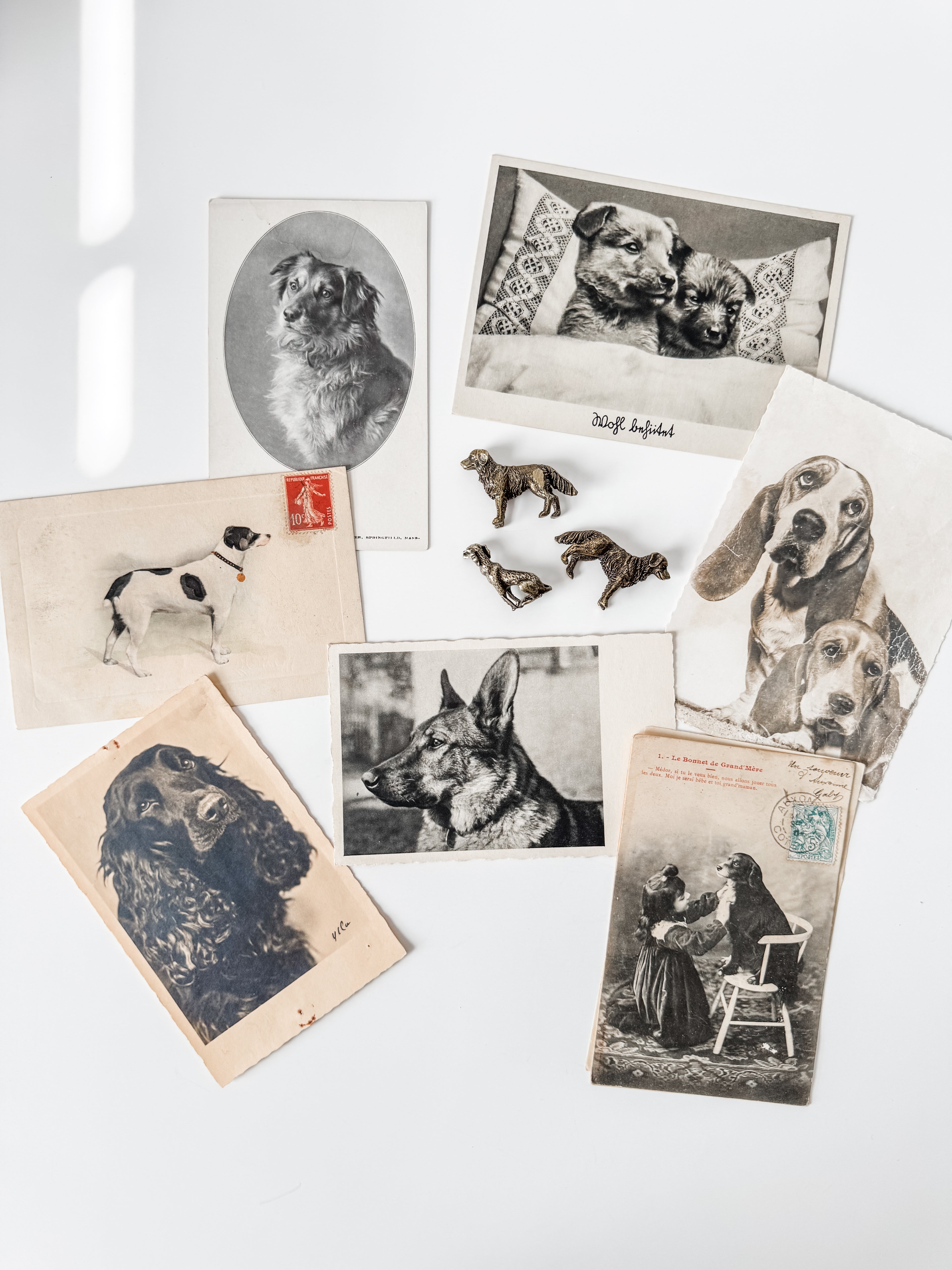 Collection Of Dog Themed Vintage And Antique Postcards And Brass Figures