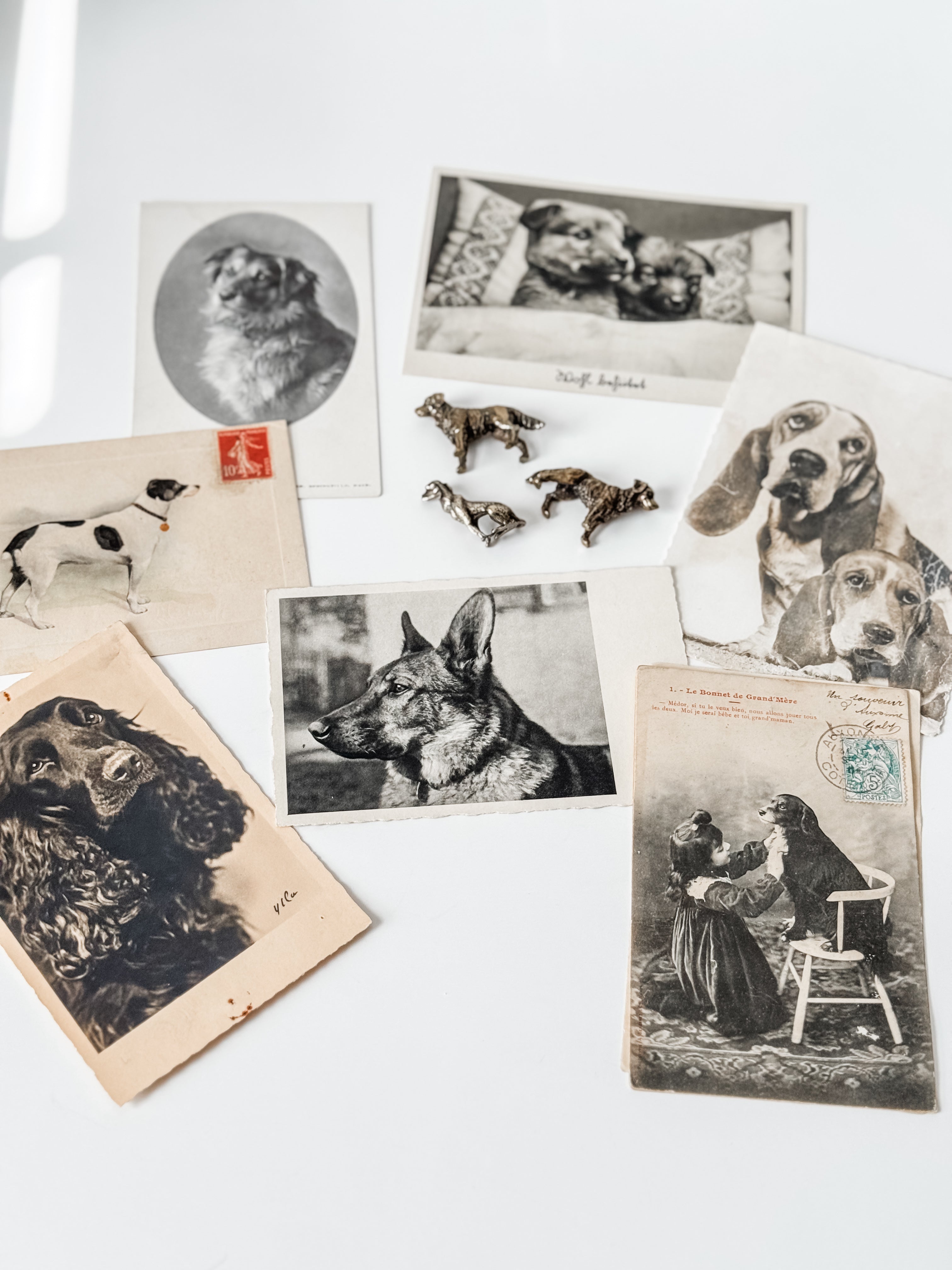 Collection Of Dog Themed Vintage And Antique Postcards And Brass Figures