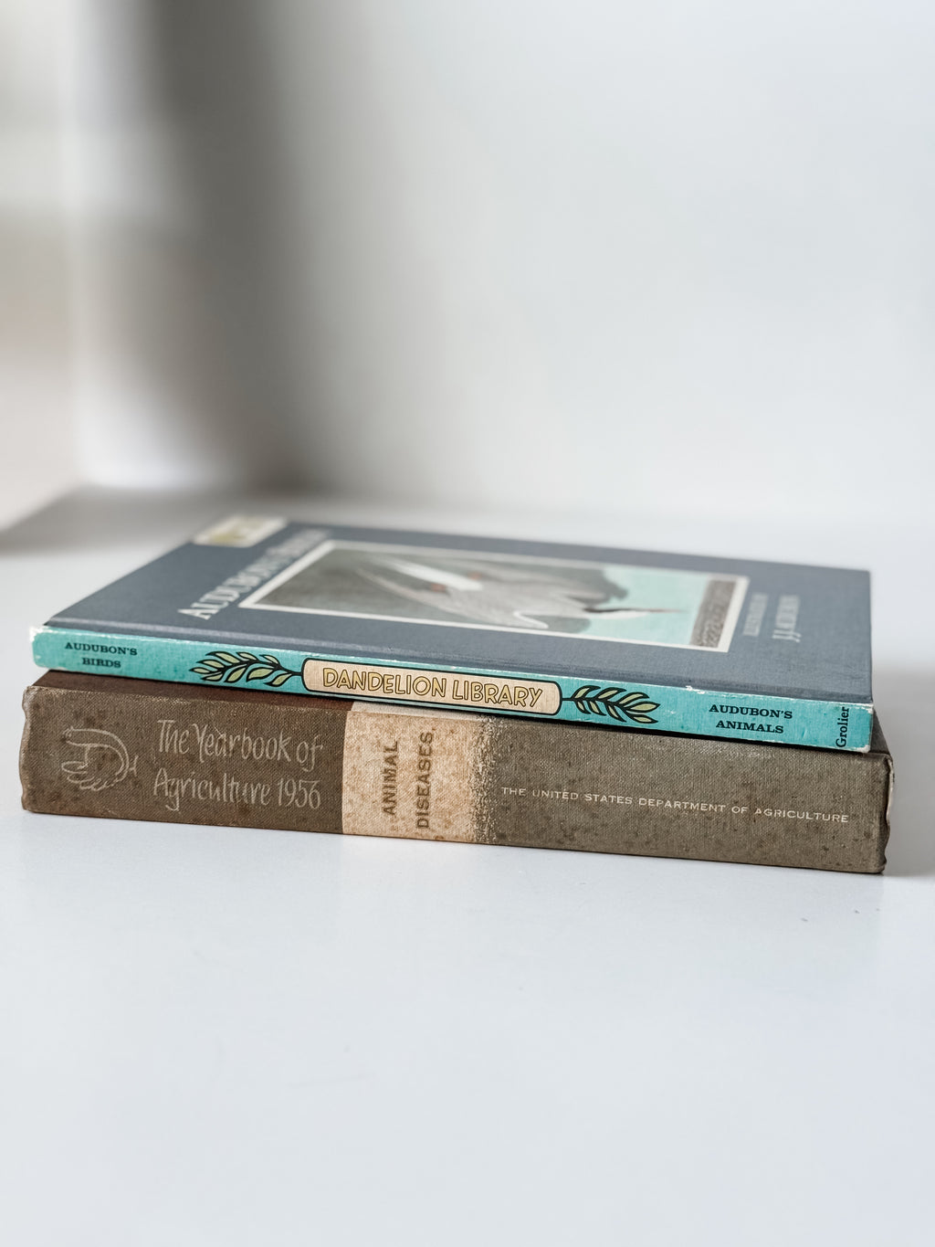 Set Of Two Vintage Hardcover Animal Books