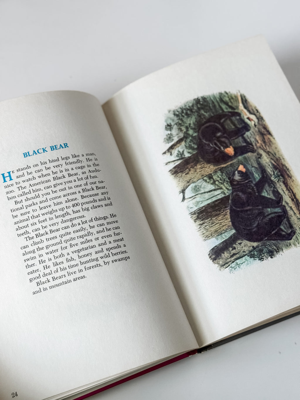 Set Of Two Vintage Hardcover Animal Books