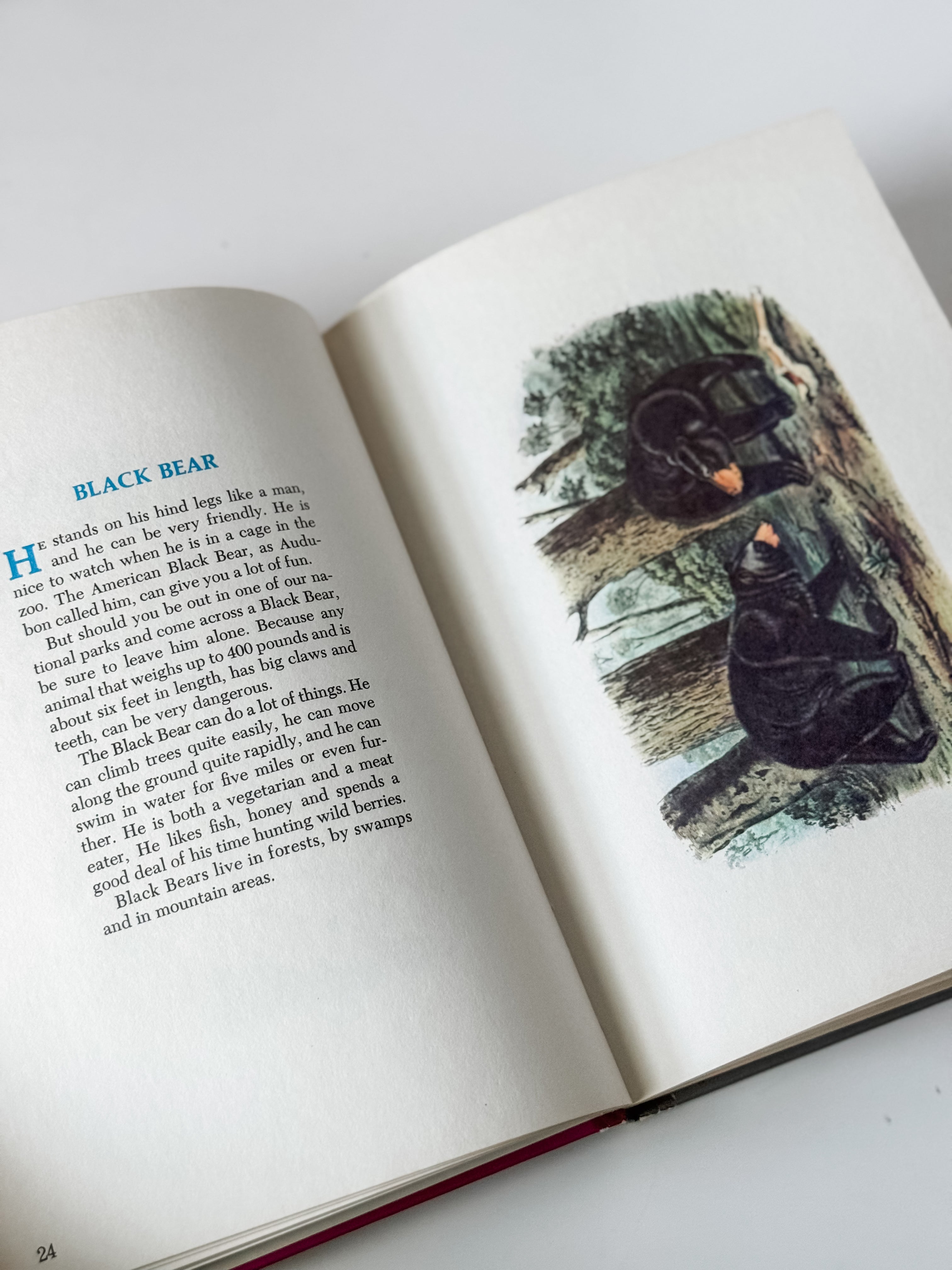Set Of Two Vintage Hardcover Animal Books