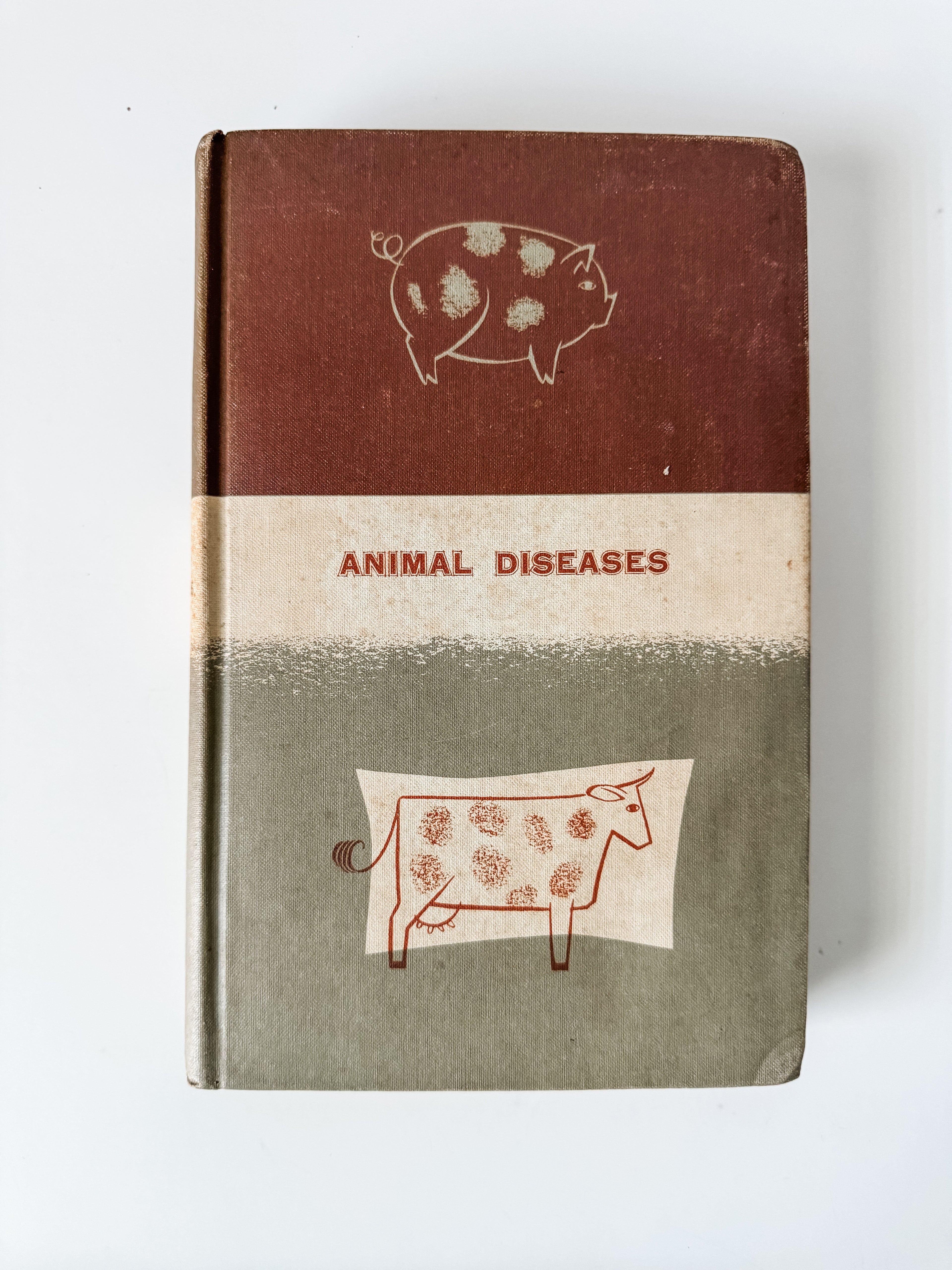 Set Of Two Vintage Hardcover Animal Books
