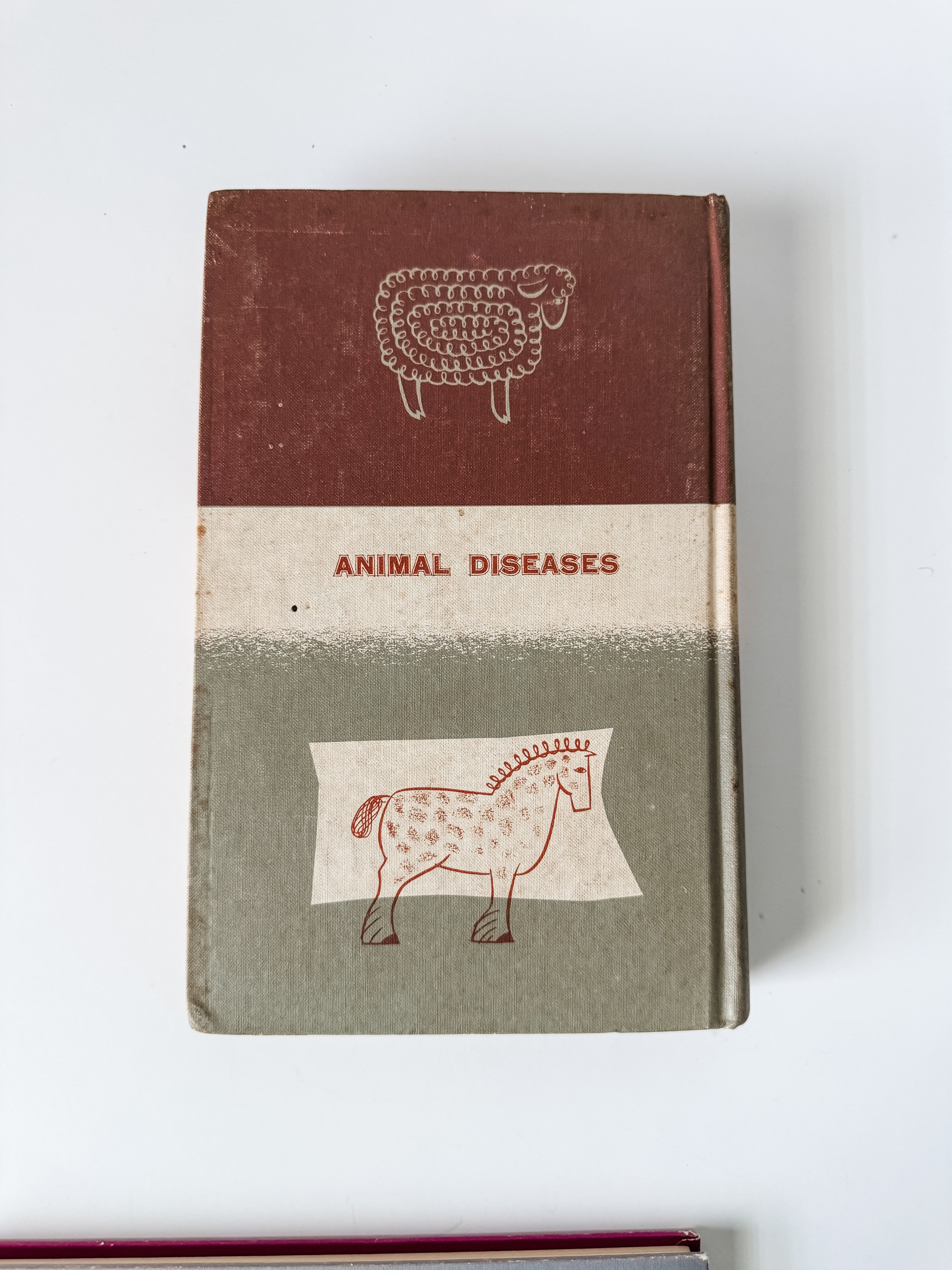 Set Of Two Vintage Hardcover Animal Books