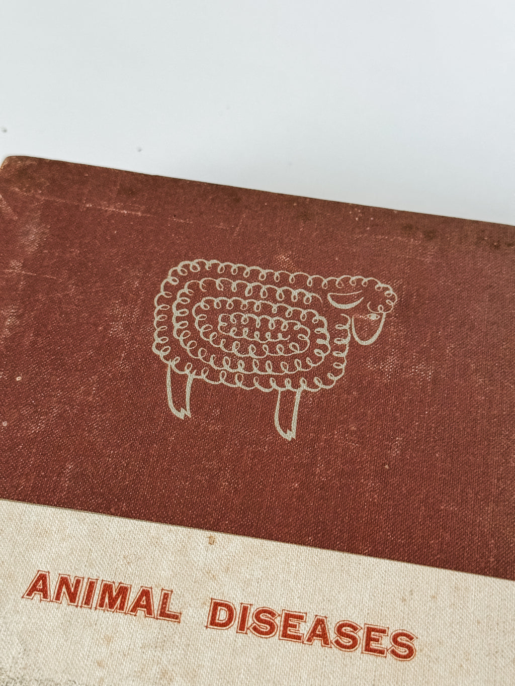 Set Of Two Vintage Hardcover Animal Books