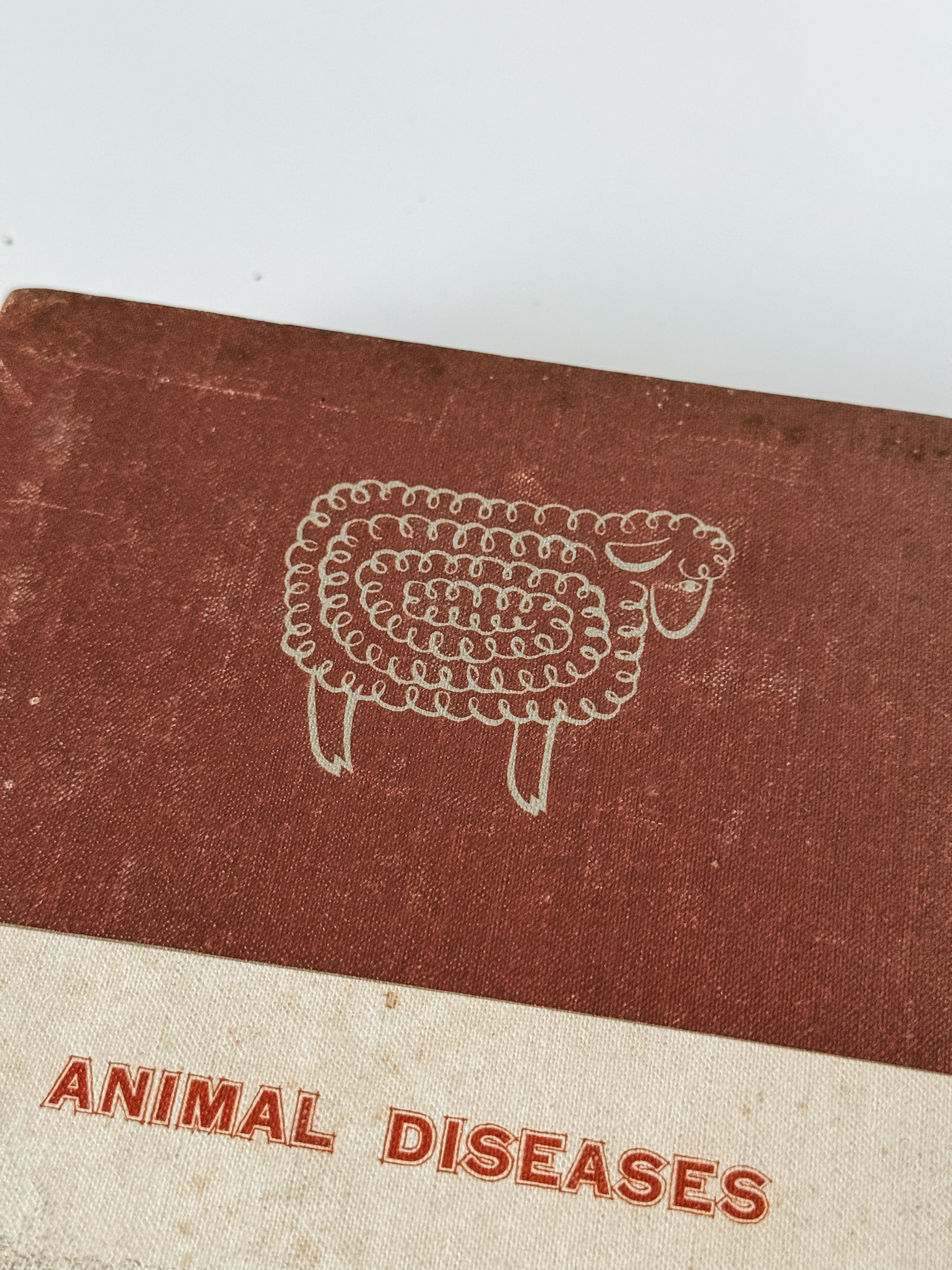 Set Of Two Vintage Hardcover Animal Books