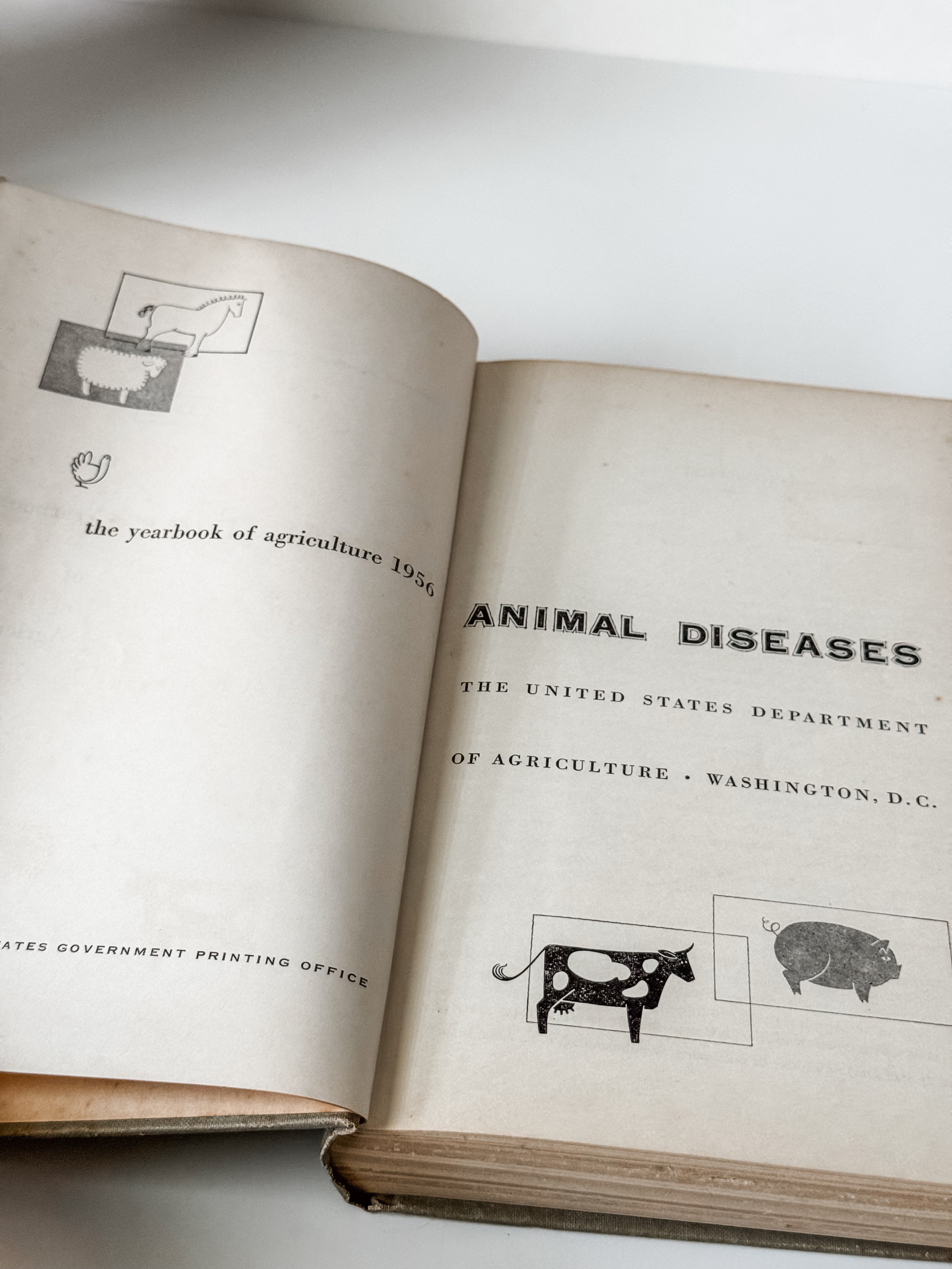 Set Of Two Vintage Hardcover Animal Books
