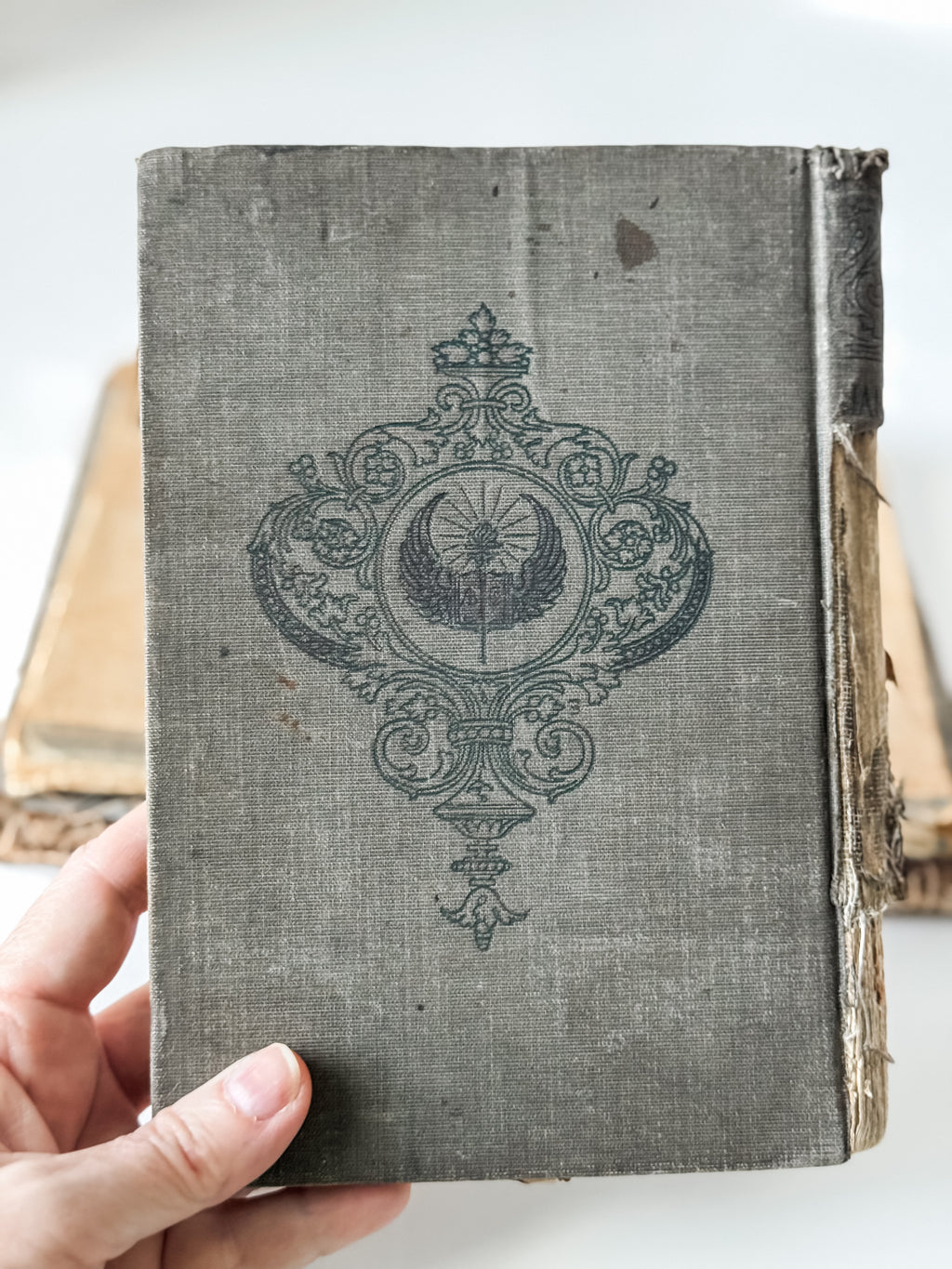 Stack Of Three Amazing Tattered School Books